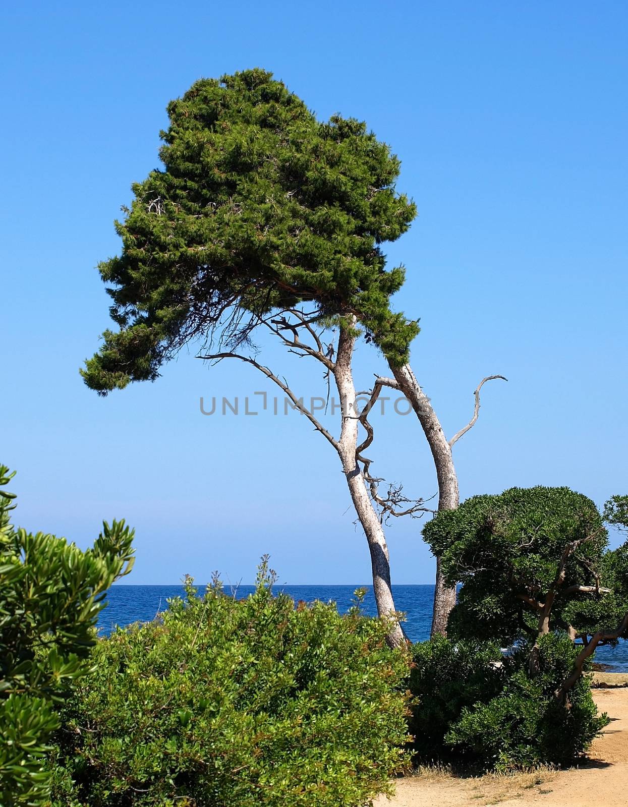 French Riviera Coast. 