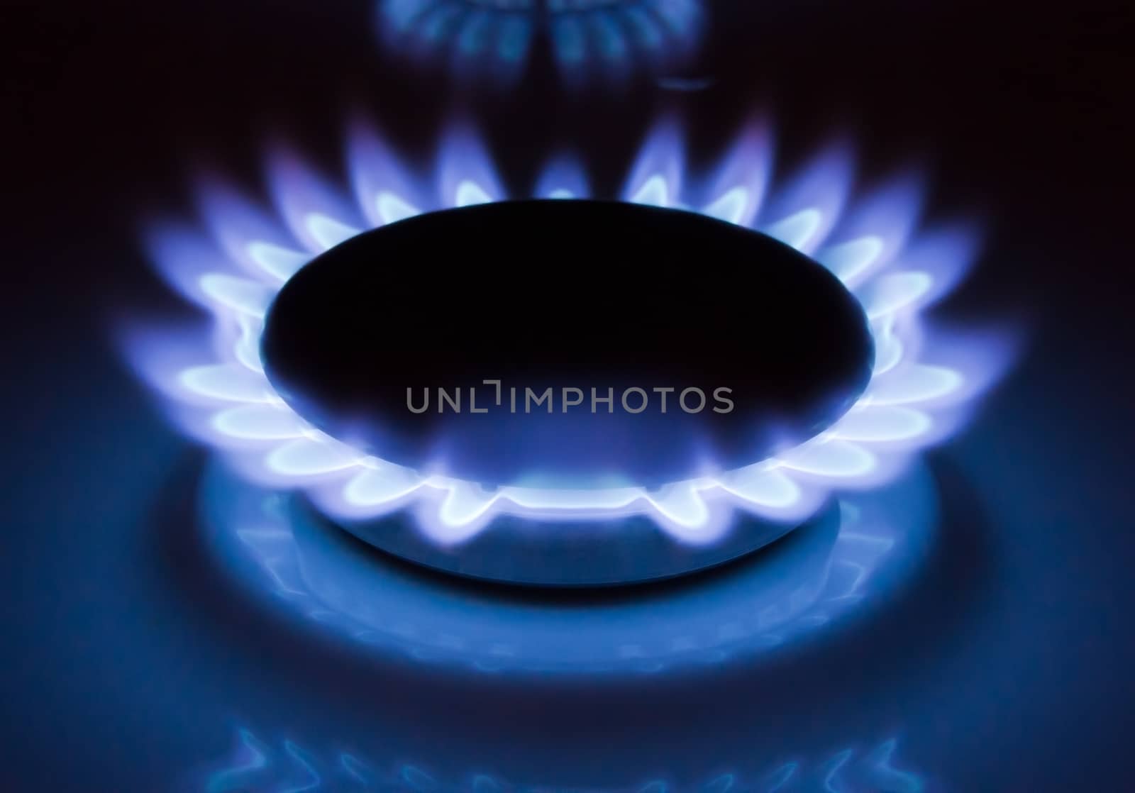 Blue flames of a burning natural gas. Gas cooker in action. 