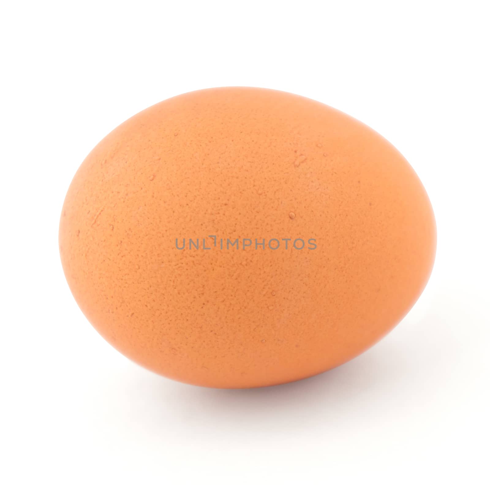 Close up of egg on white background with clipping path.