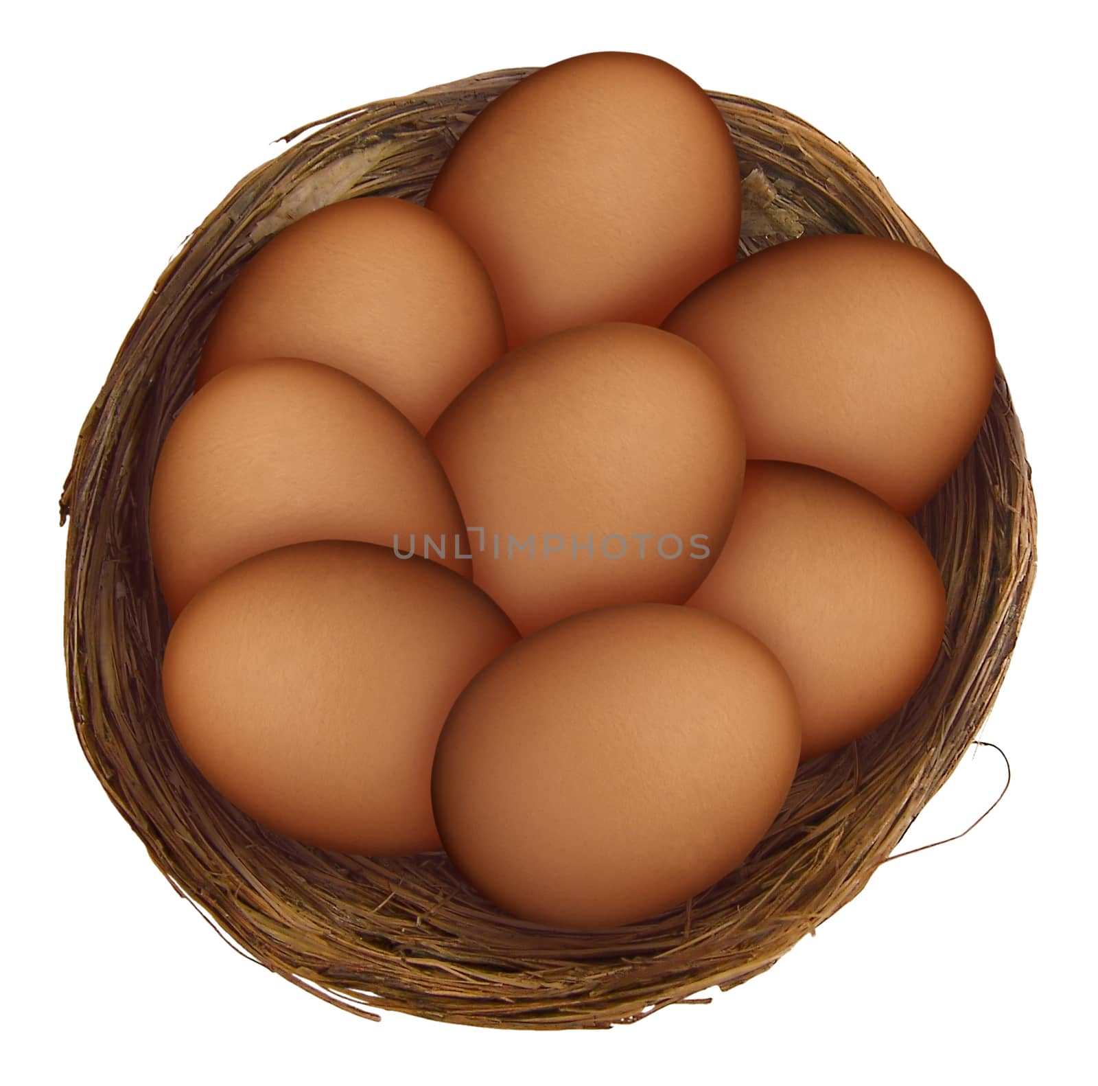 Eggs in a nest isolated on white background