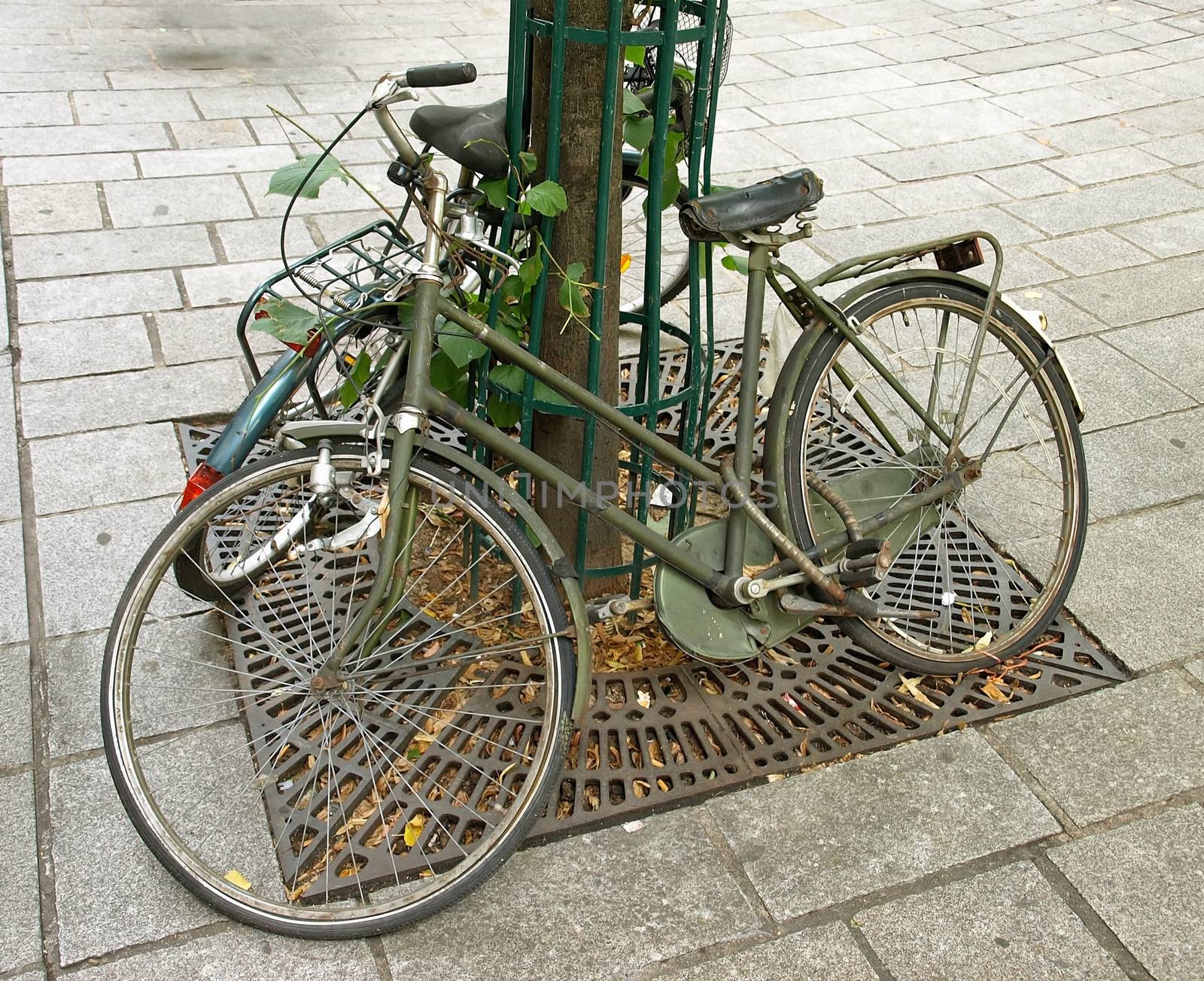 Vintage bicycle by Venakr