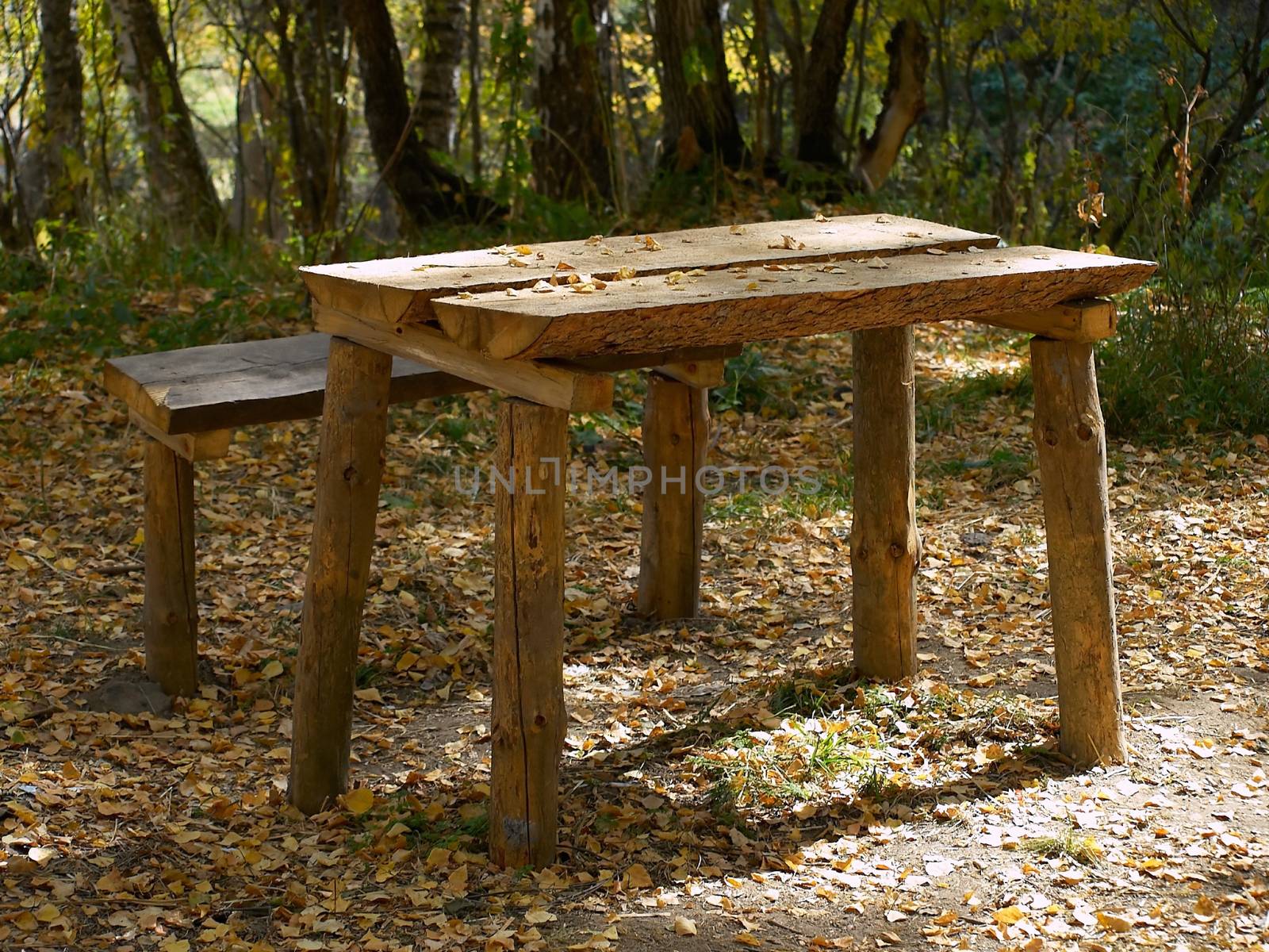 Wooden picnic table and bench in a forest at fall