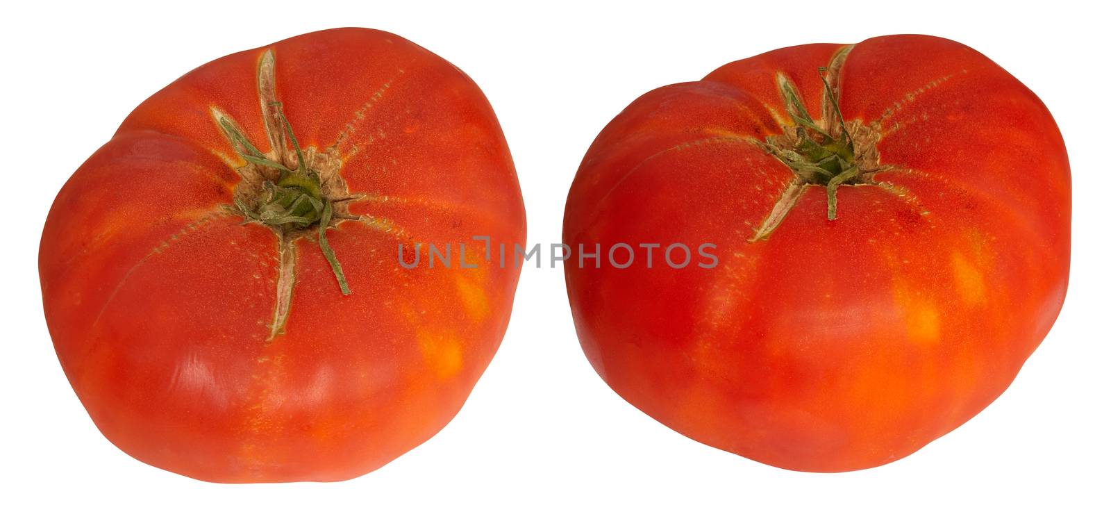 Two Red Big Tomatoes isolated over white (clipping path)