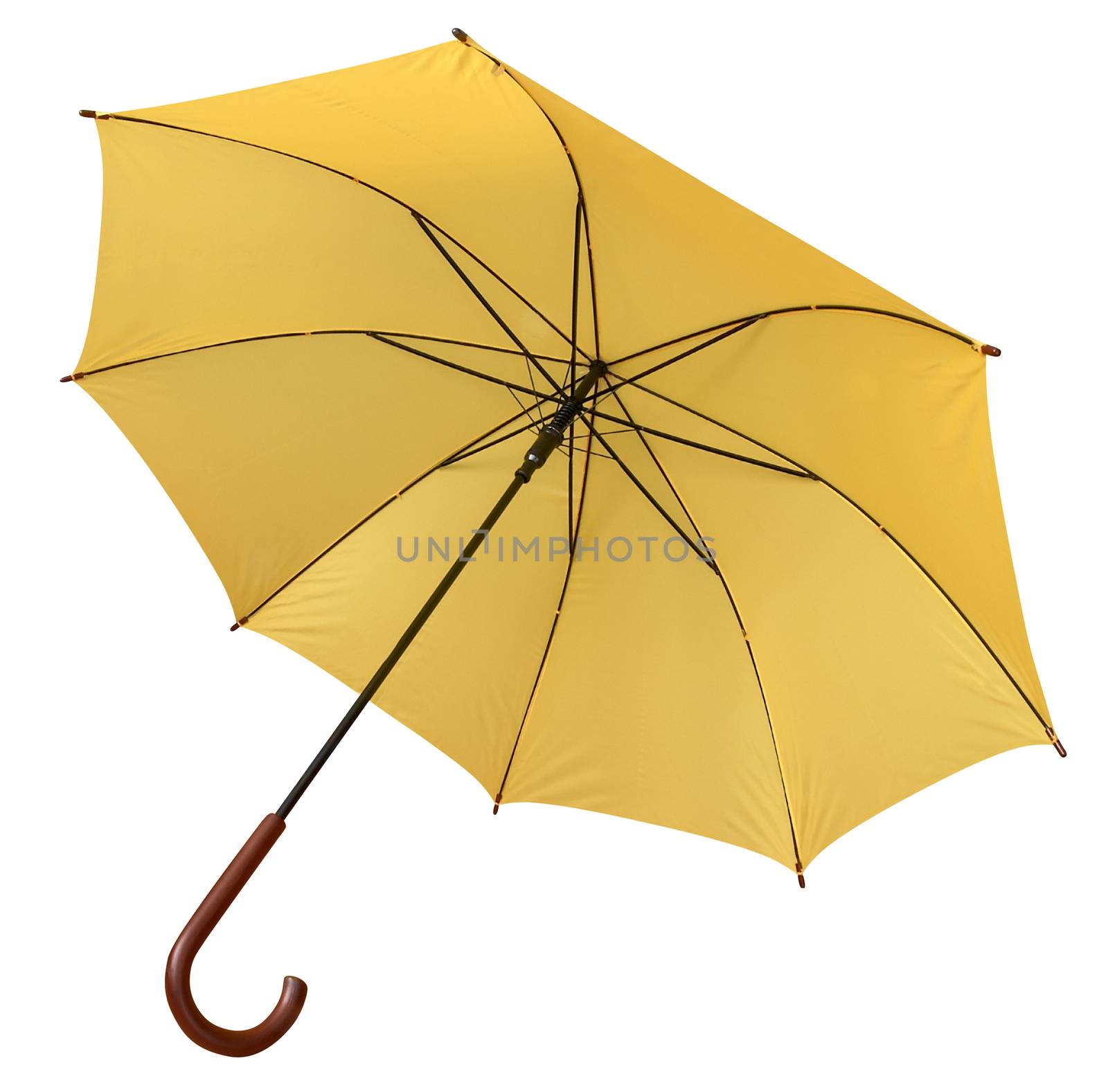 umbrella yellow opened by Venakr