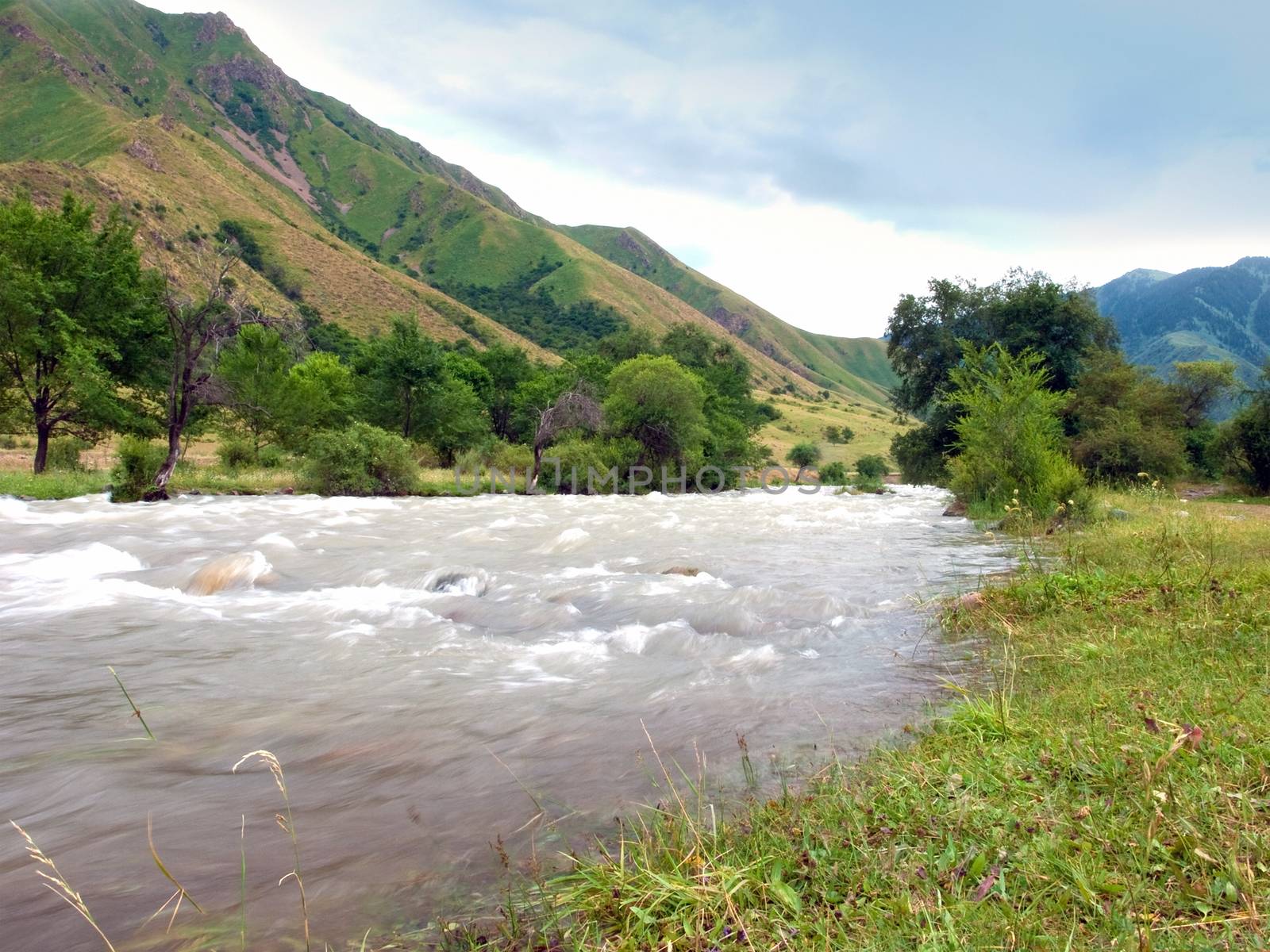 Beautiful Alpine landscape with mountain river in summer day