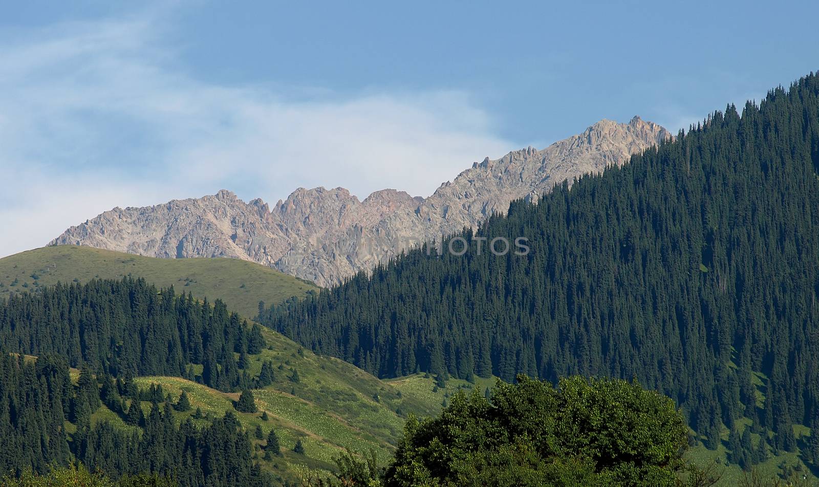 Mountains with green forest by Venakr