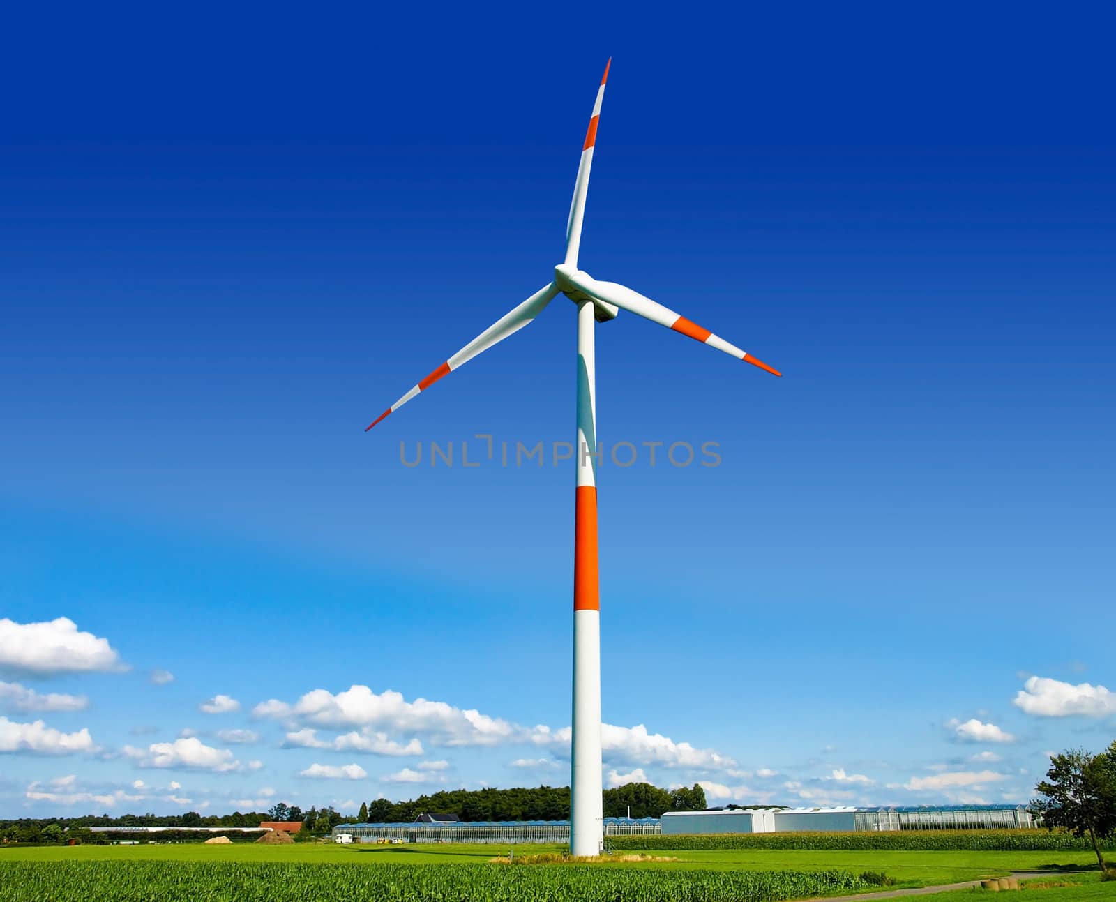 Wind turbine generating electricity on the beautiful green meadow.