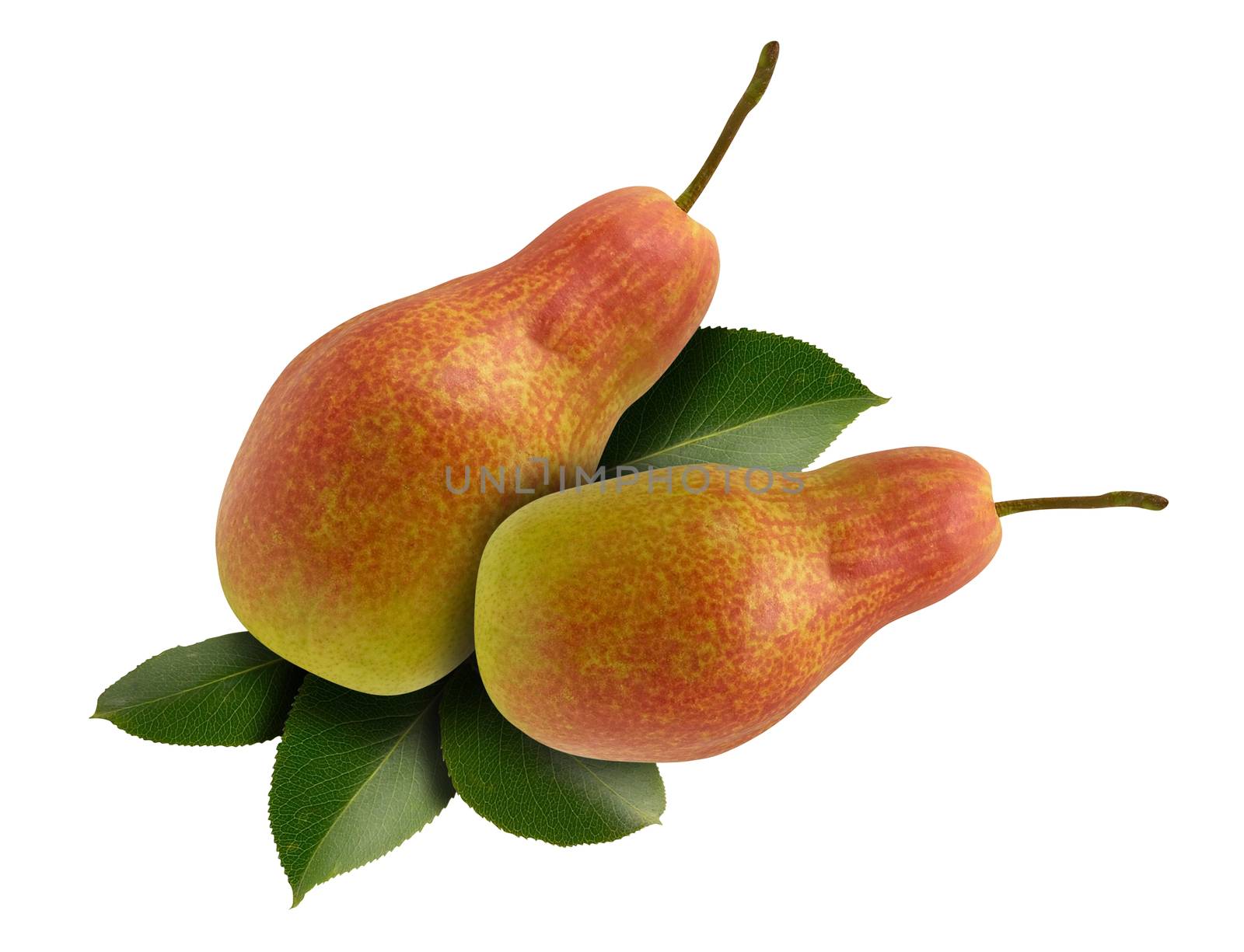 Juicy pears isolated over white background.