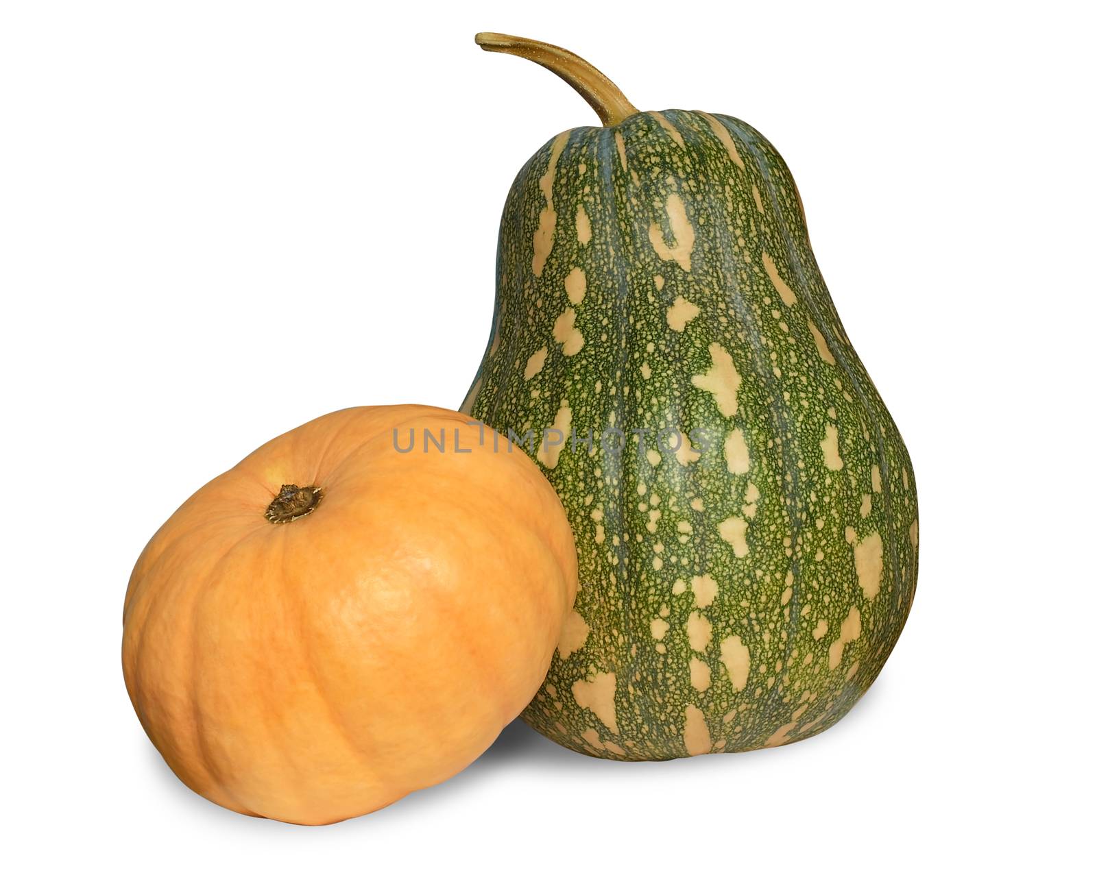Two pumpkins isolated over white with shadow. Clipping path.