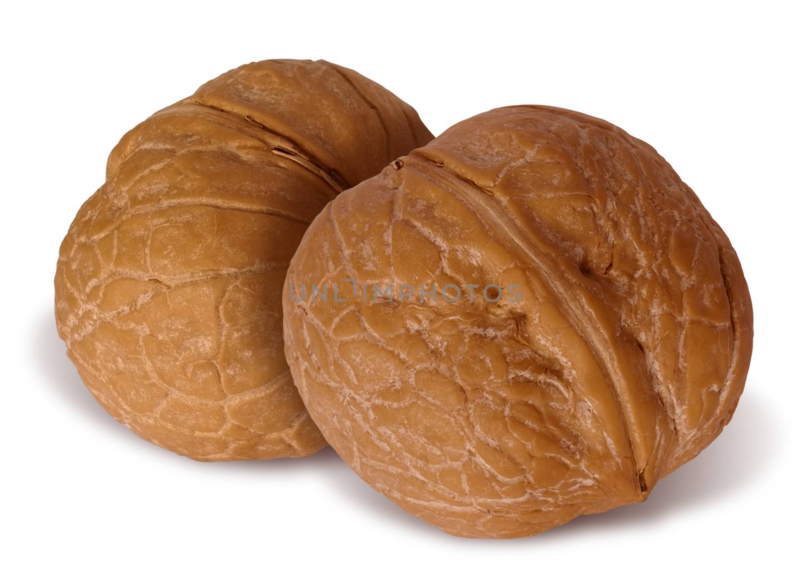 walnuts by Venakr