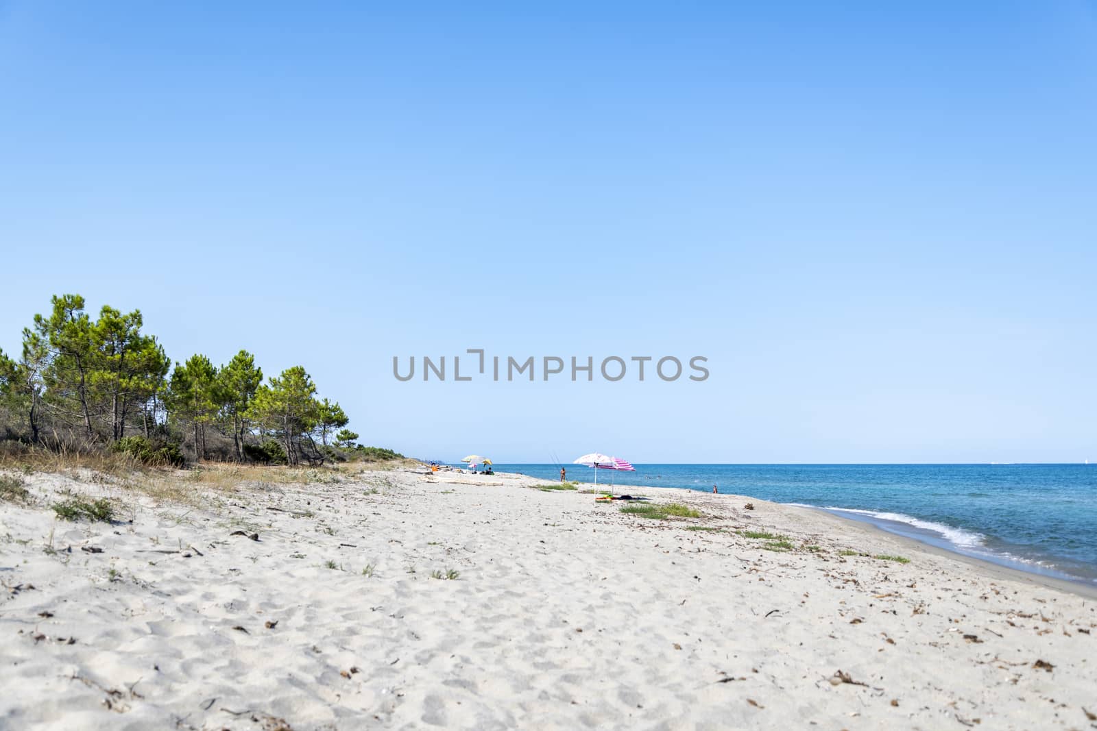People on a sandy Beach and mediterranean sea during summer with copy space, Ghisonaccia, Corsica, France