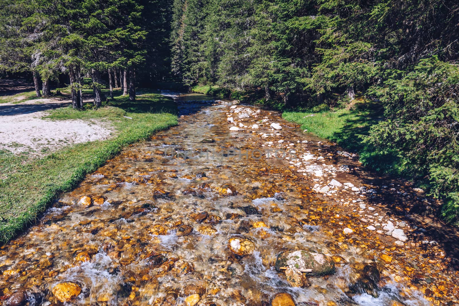 Beautiful view of mountain river in summer. Ialomita river, Romania, Europe. Carpathian mountains, Bucegi Natural Park. Beauty world.