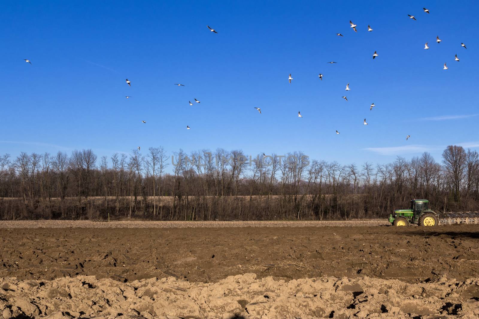 A tractor with plow plowing a piece of land.