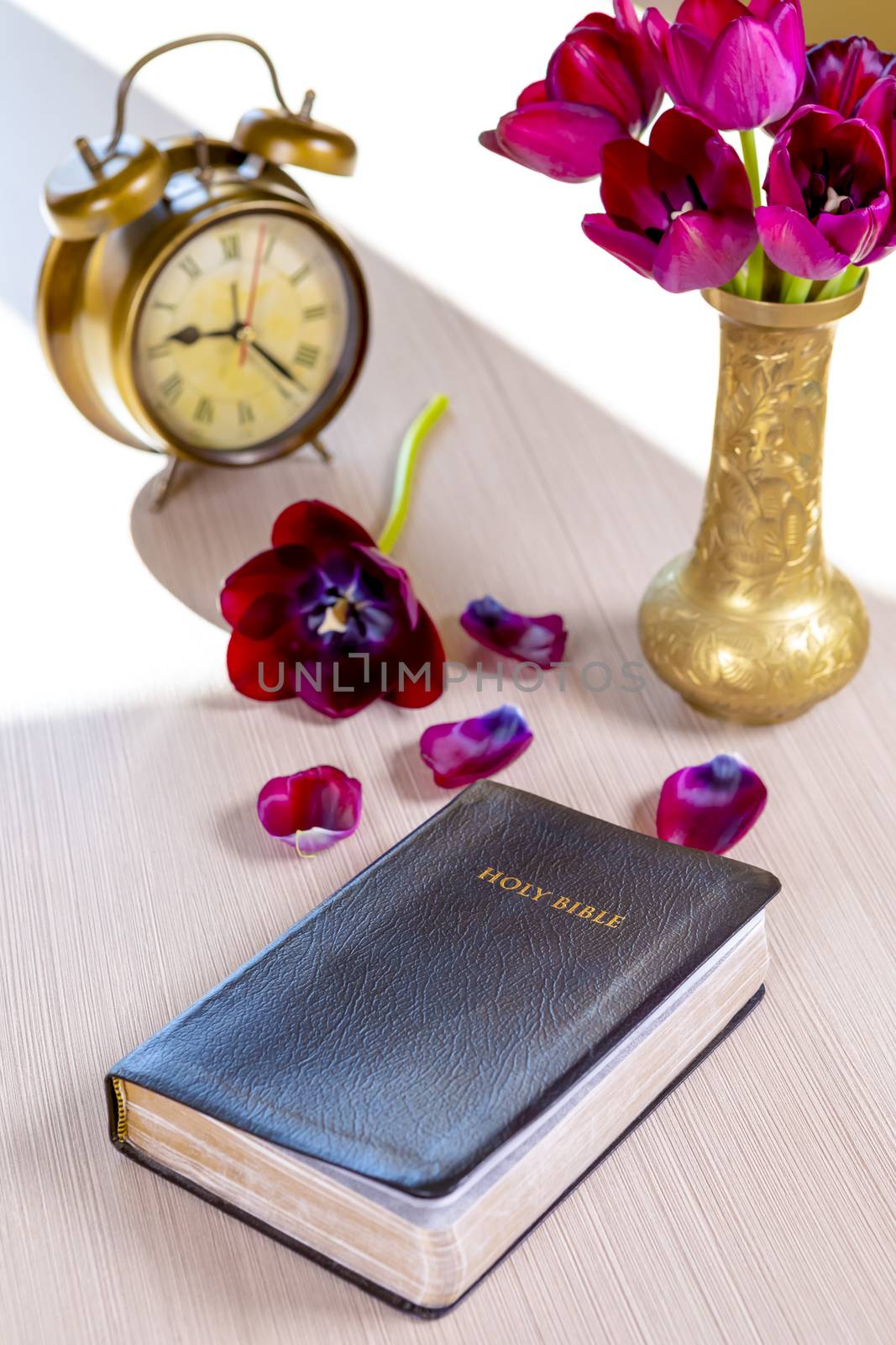 Holy Bible and old gold alarm clock with flowers  by manaemedia