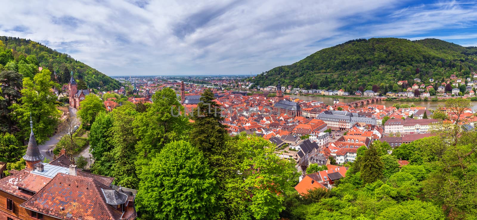 Panoramic view of beautiful medieval town Heidelberg including C by DaLiu