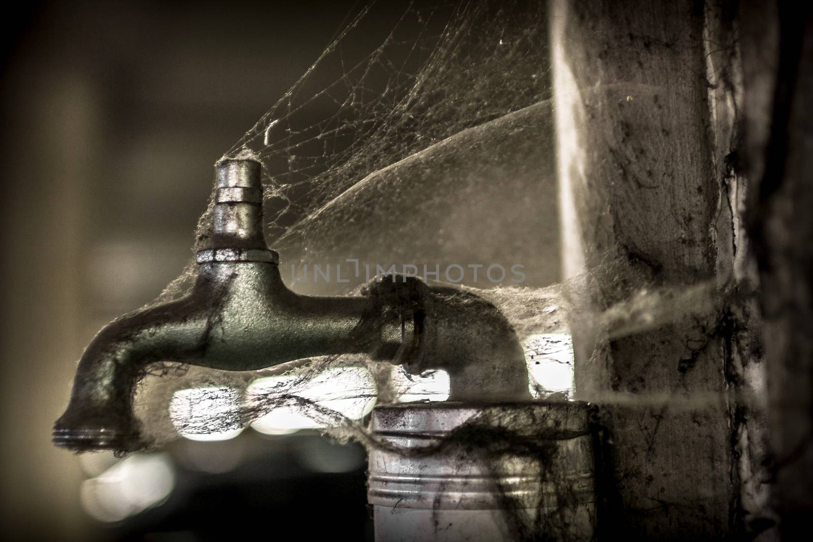 A tap covered with spider web, no more water.