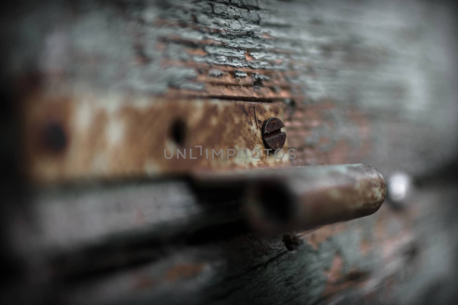 Extreme close-up of a hinge on an old door.