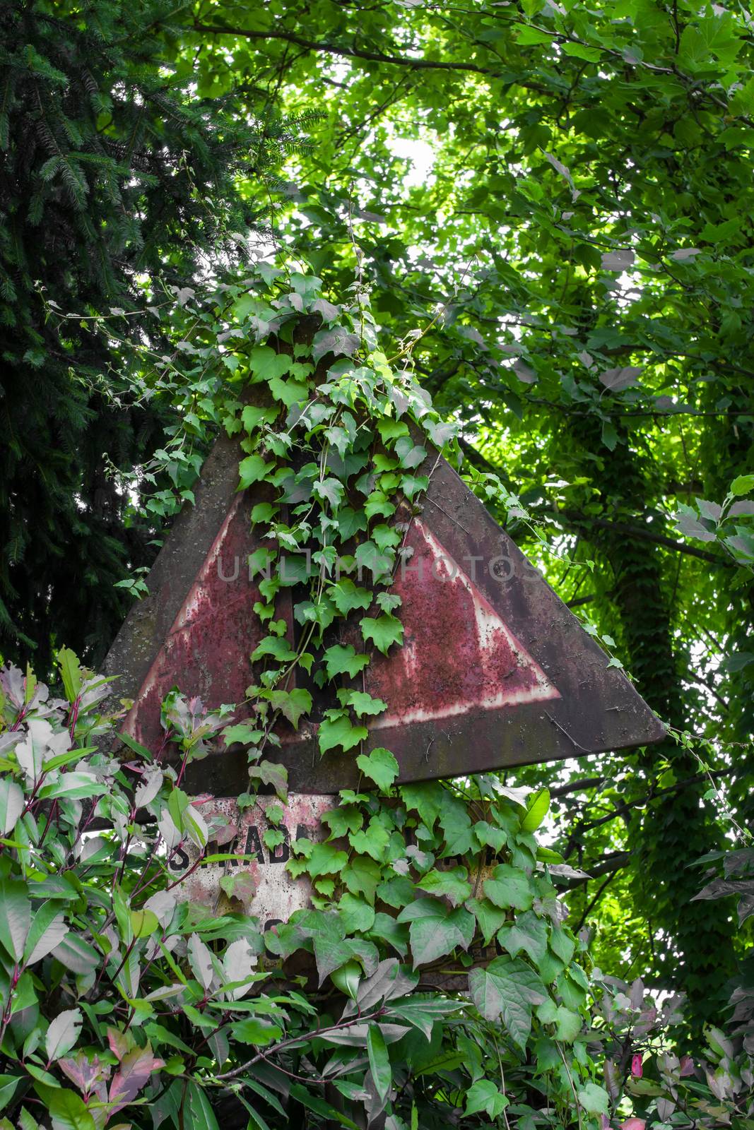 Road sign rusty and covered by the surrounding vegetation.