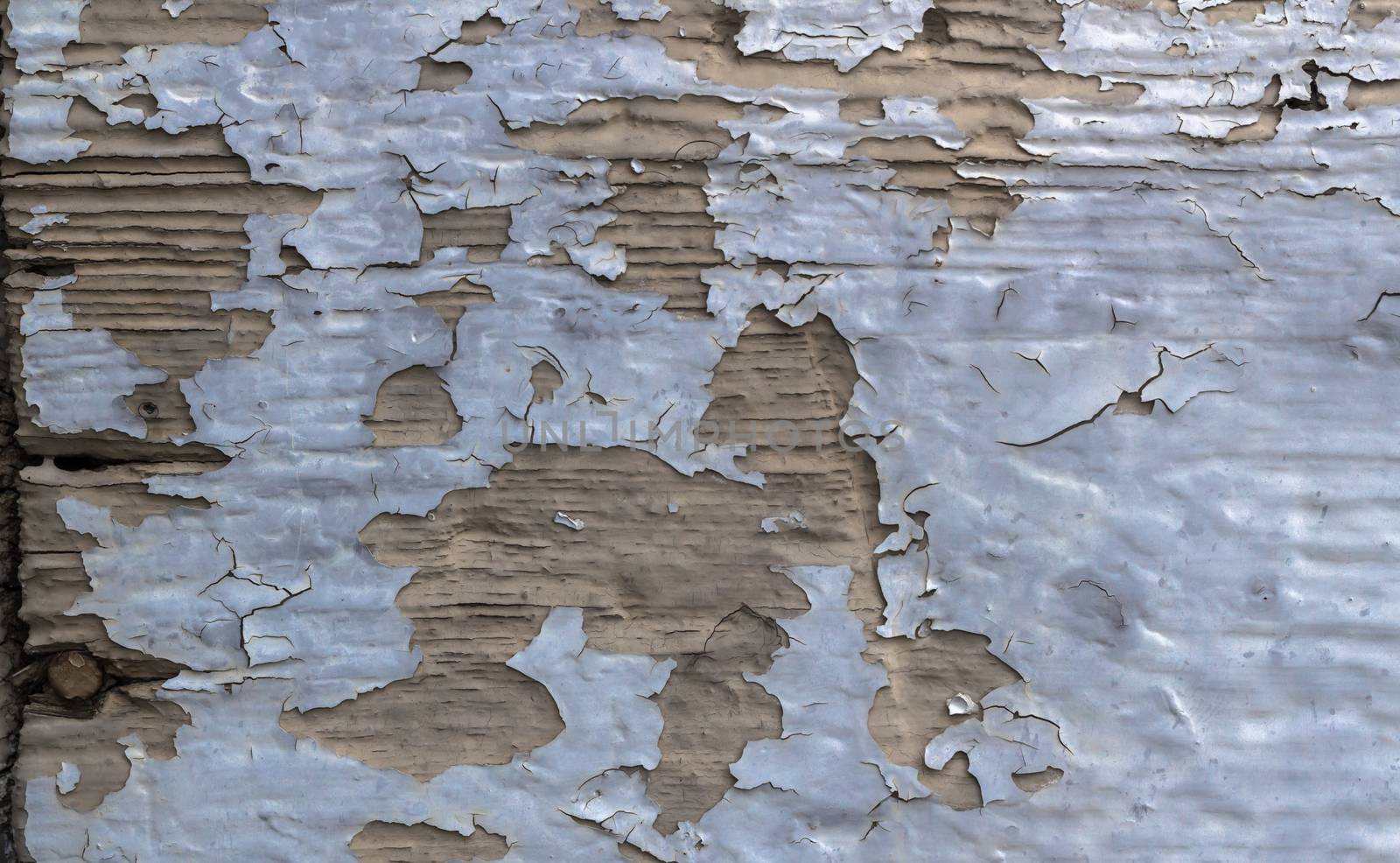 Peeling paint on weathered wood as a detailed background image