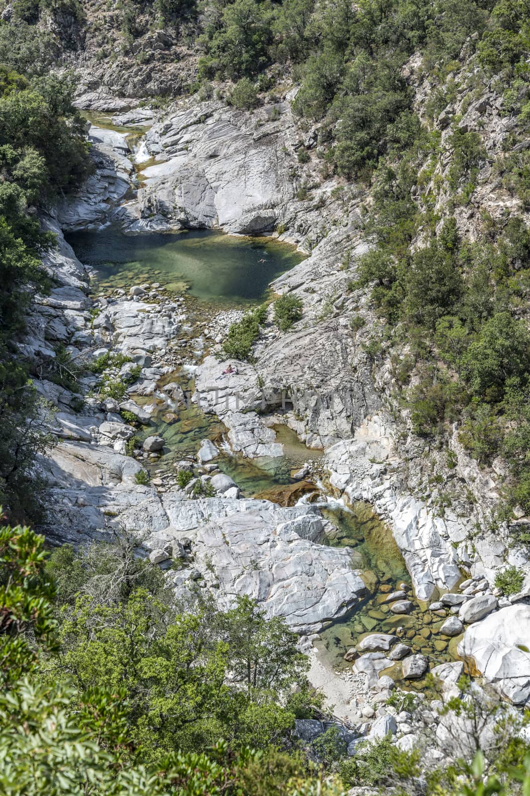 River with natural pools and forest of Travu valley. Chisà, Corsica, France