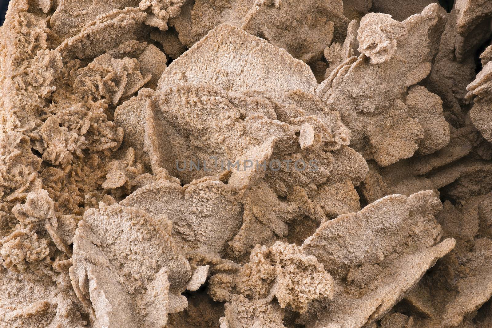 Close-up of a sand rose by GABIS