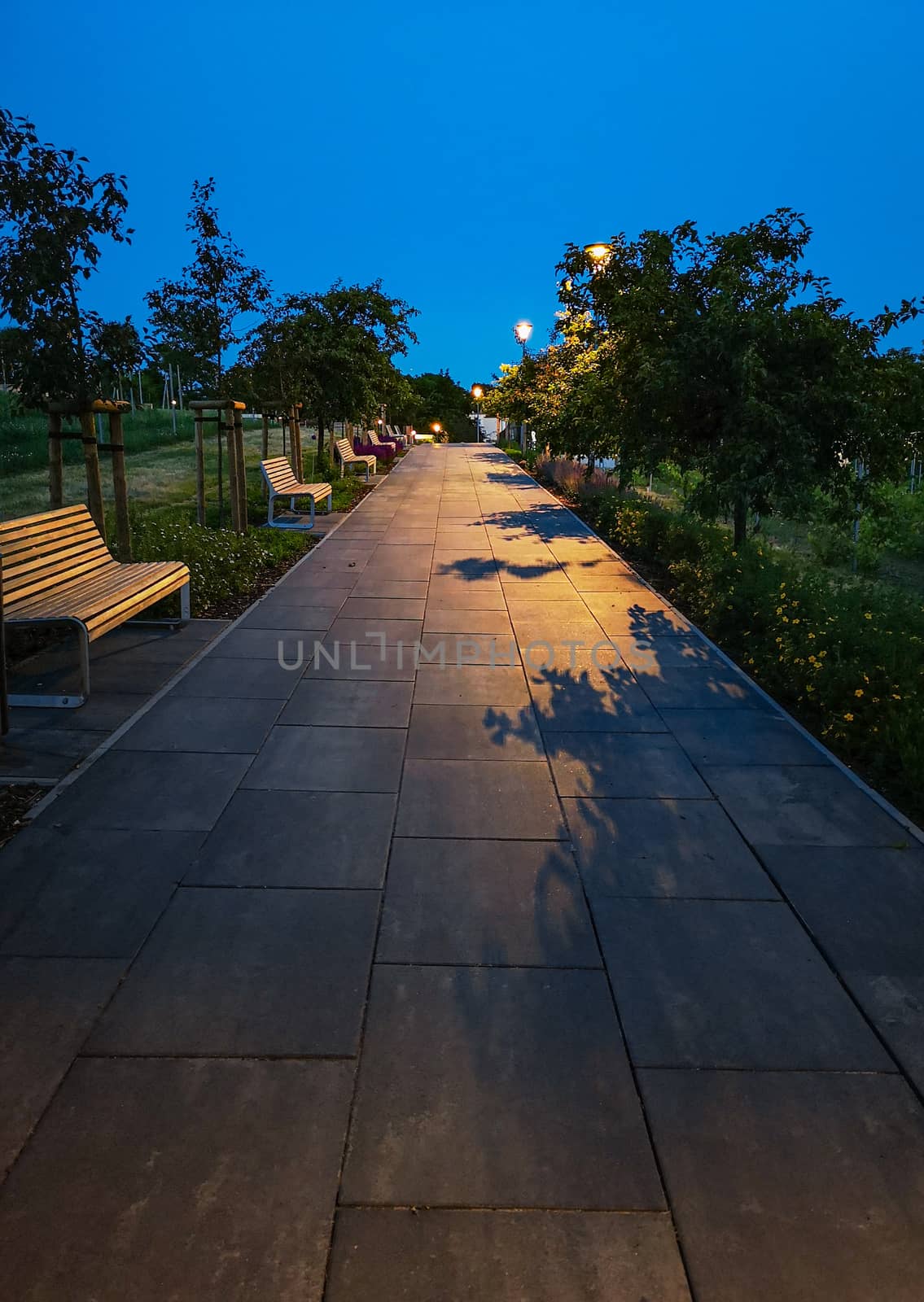 Long sidewalk path with concrete tiles between lanterns, benches and trees