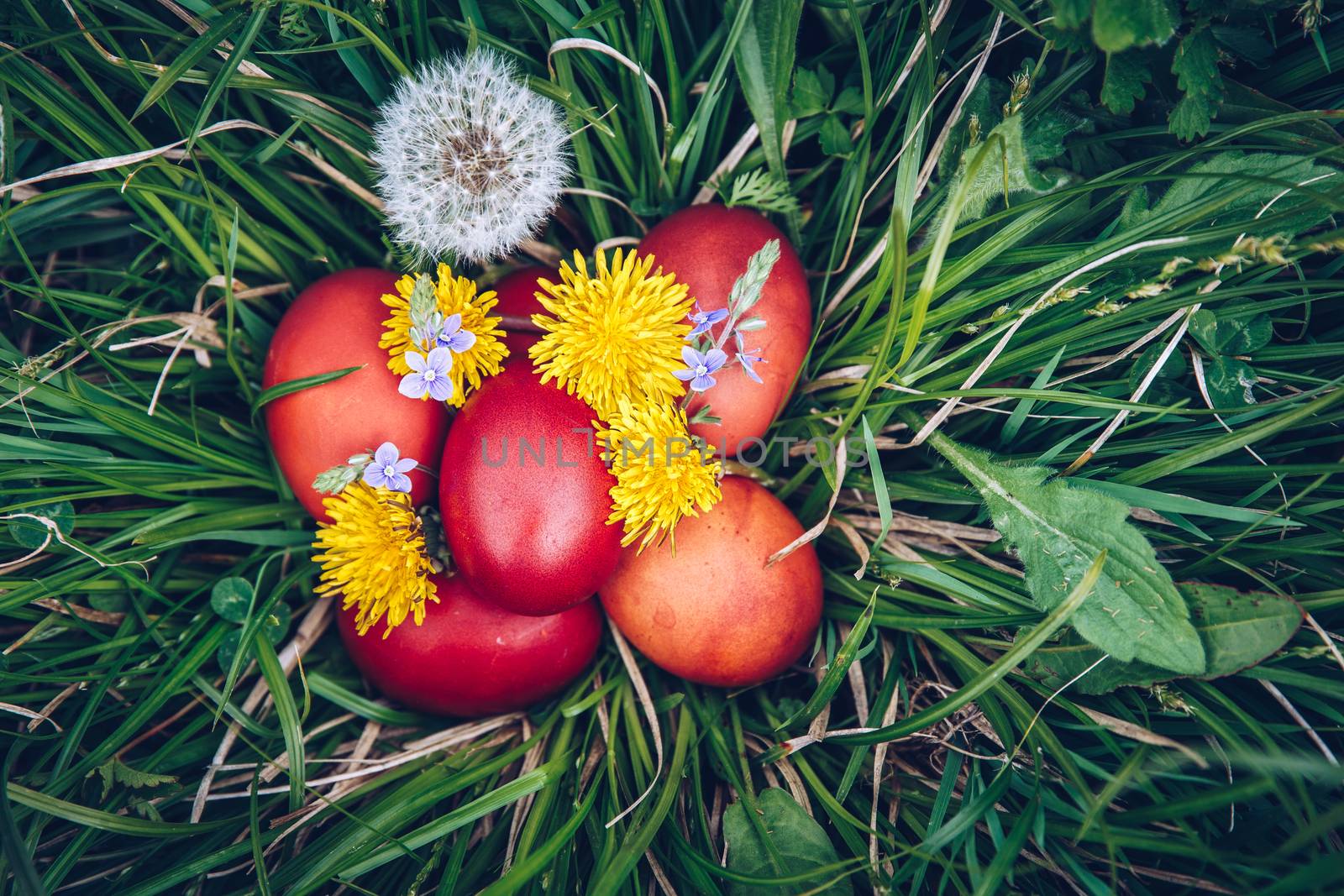 Red easter eggs on the grass with flowers and blowballs, spring holidays concept, naturally colored easter eggs with onion husks. Happy Easter, Christian religious holiday.