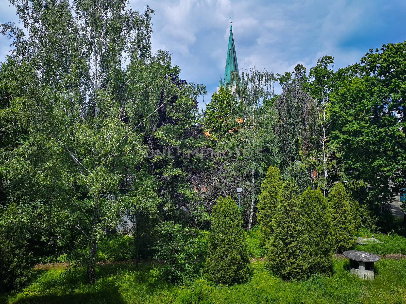 Bushes and trees in front of cathedral tower at old abandoned hospital square by Wierzchu