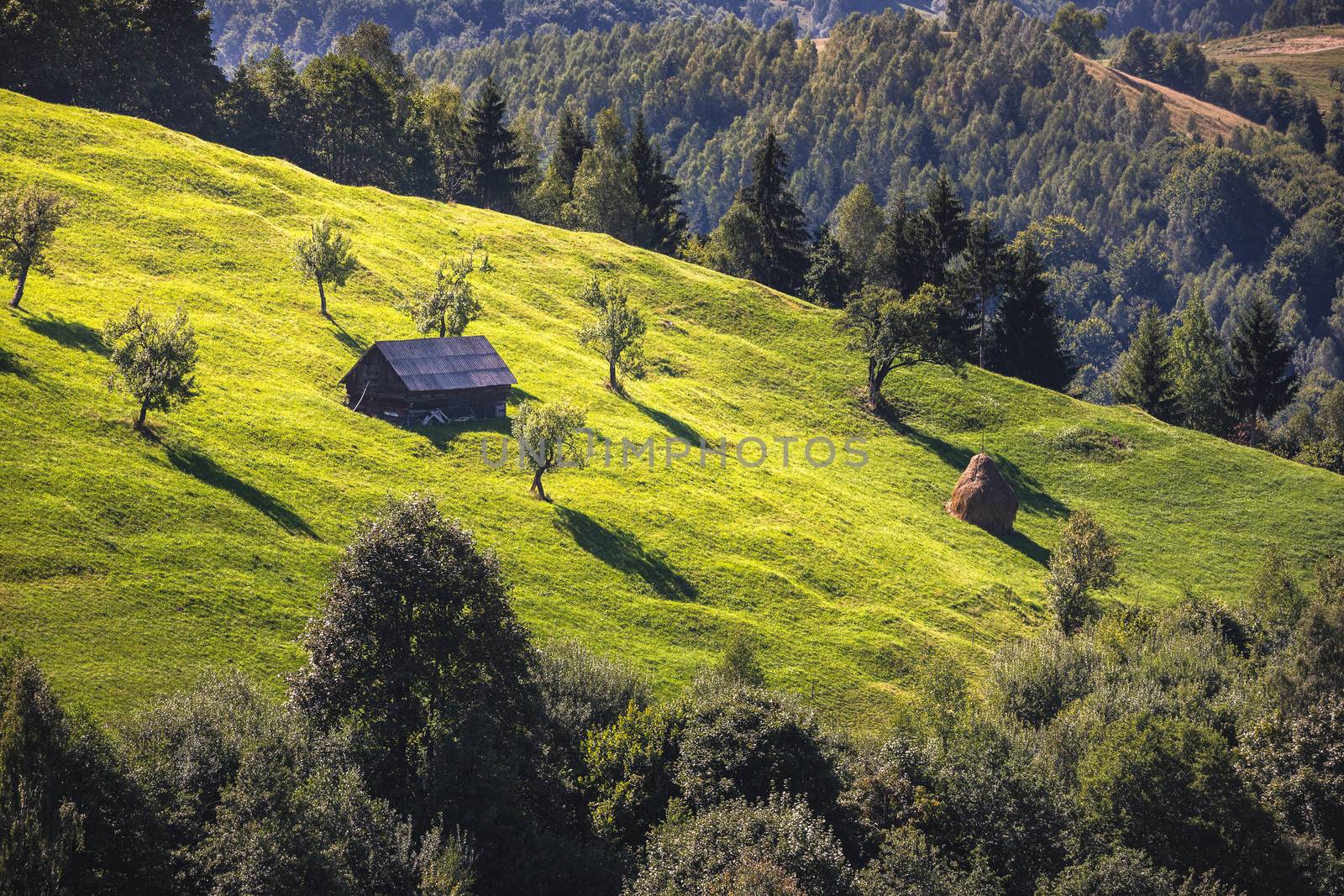 Summer alpine Transylvania landmark, landscape with green fields and valleys, high Piatra Craiului mountains, Carpathians, Transylvania, Romania, Europe