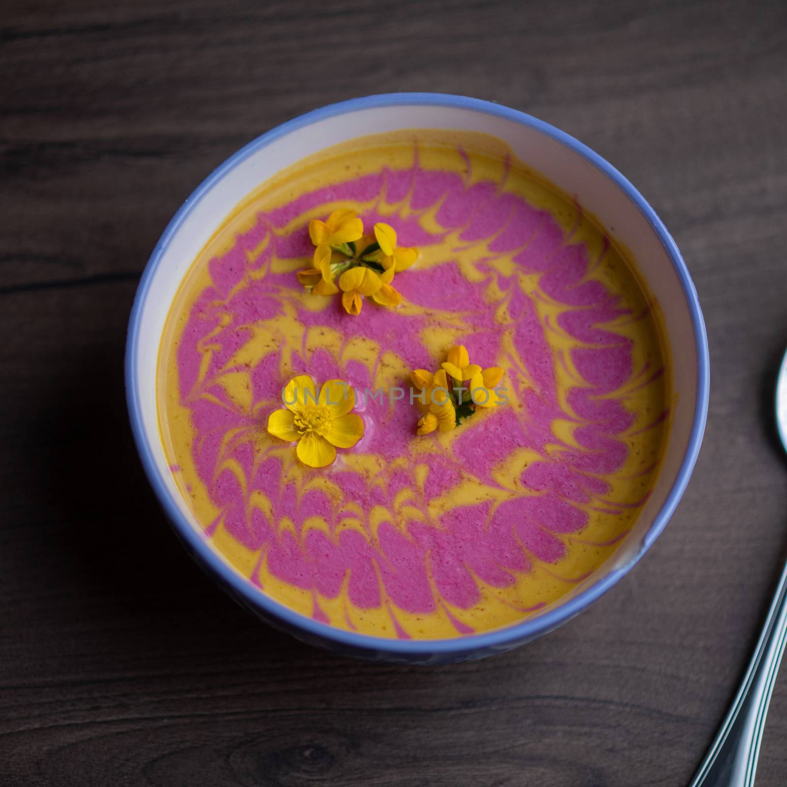 Cream pumpkin and beet soup with fresh yellow flowers by adamr