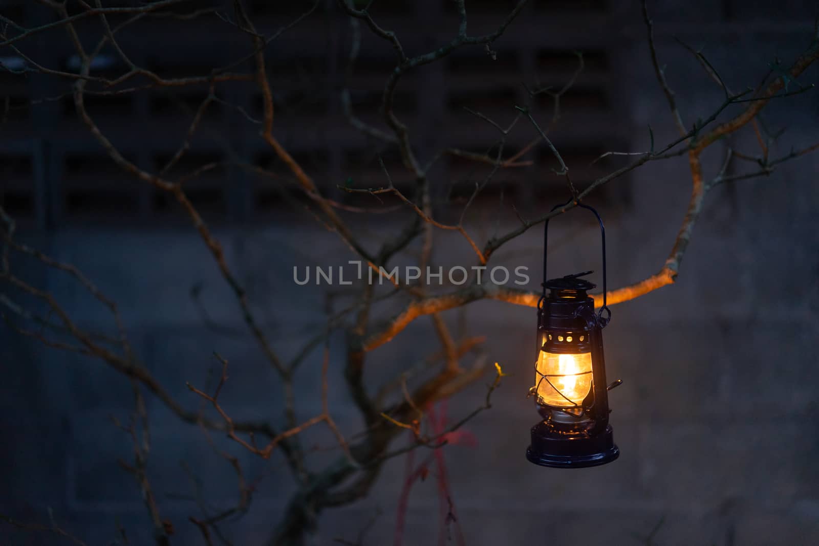 vintage latern hanging of a tree in the evening