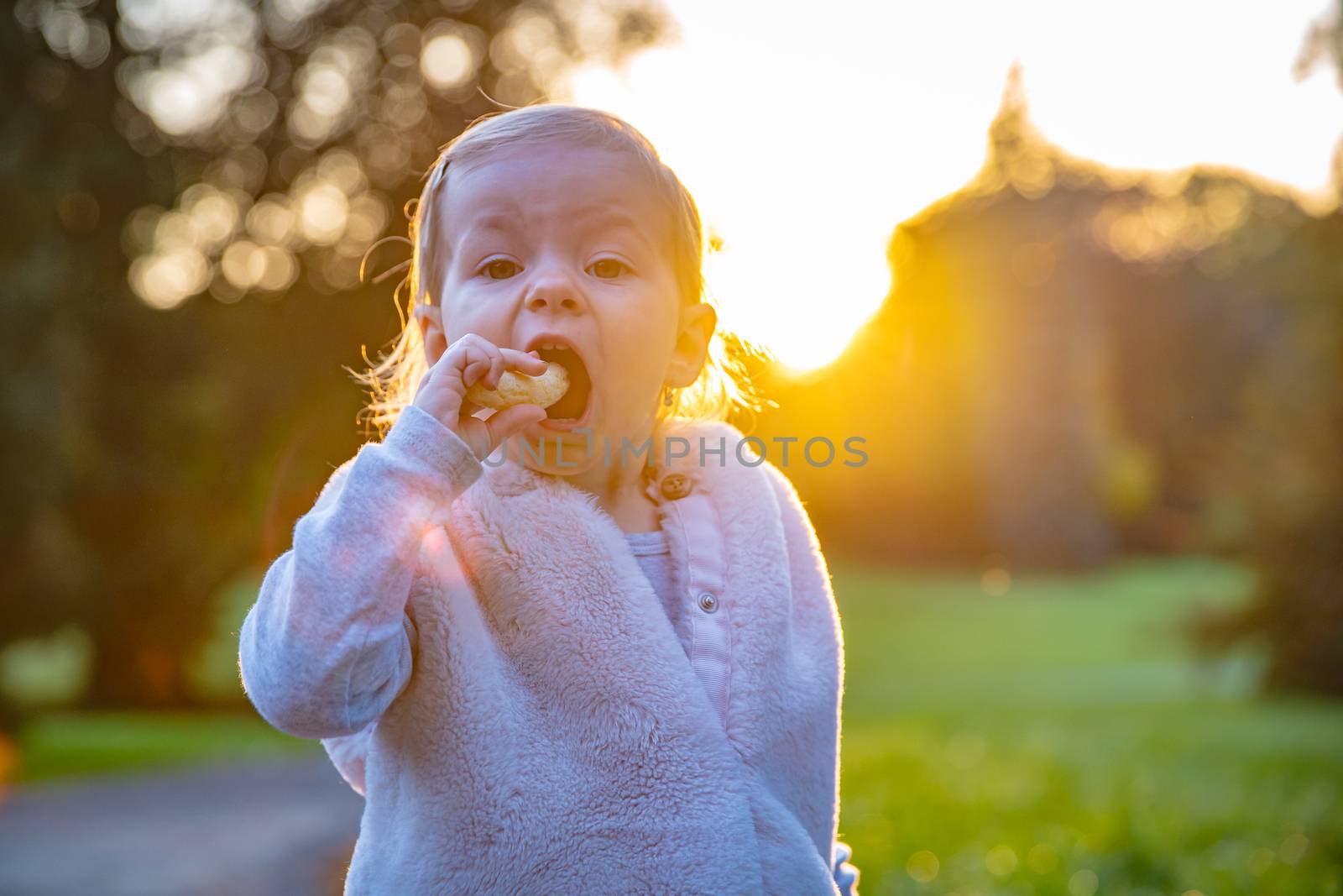 happy child enjoy play in autumn park by Edophoto
