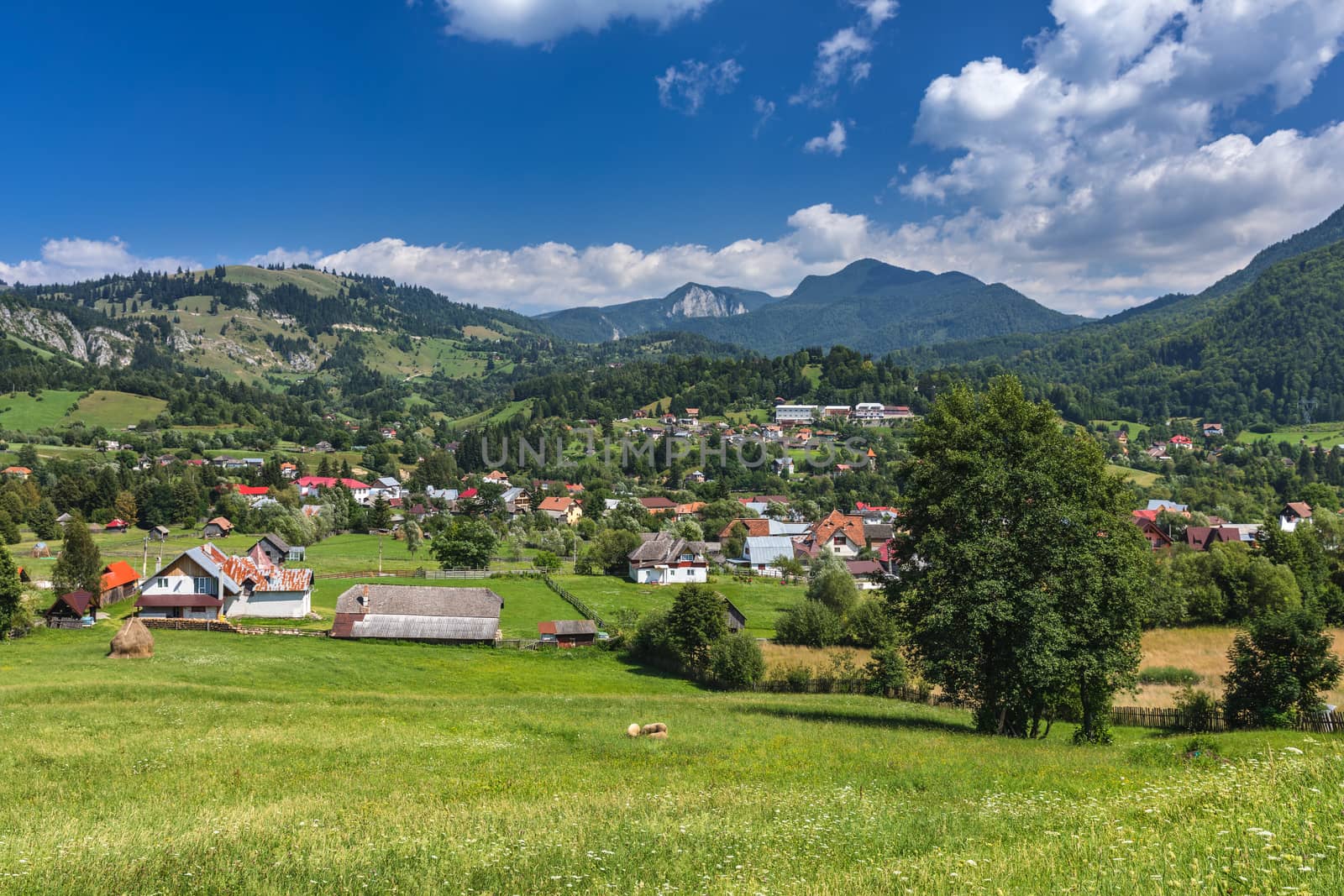 Stunning alpine landscape and green fields, Transylvania, Romania, Europe