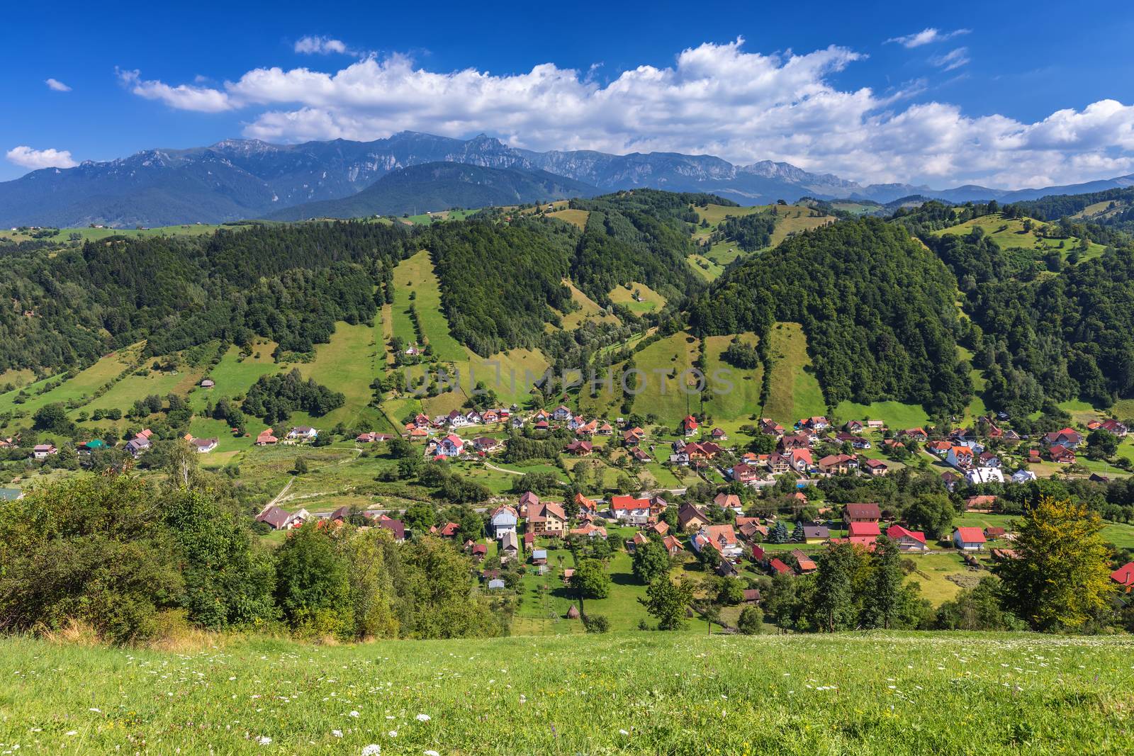 Summer alpine Transylvania landmark, landscape with green fields and valleys, high Piatra Craiului mountains, Carpathians, Transylvania, Romania, Europe