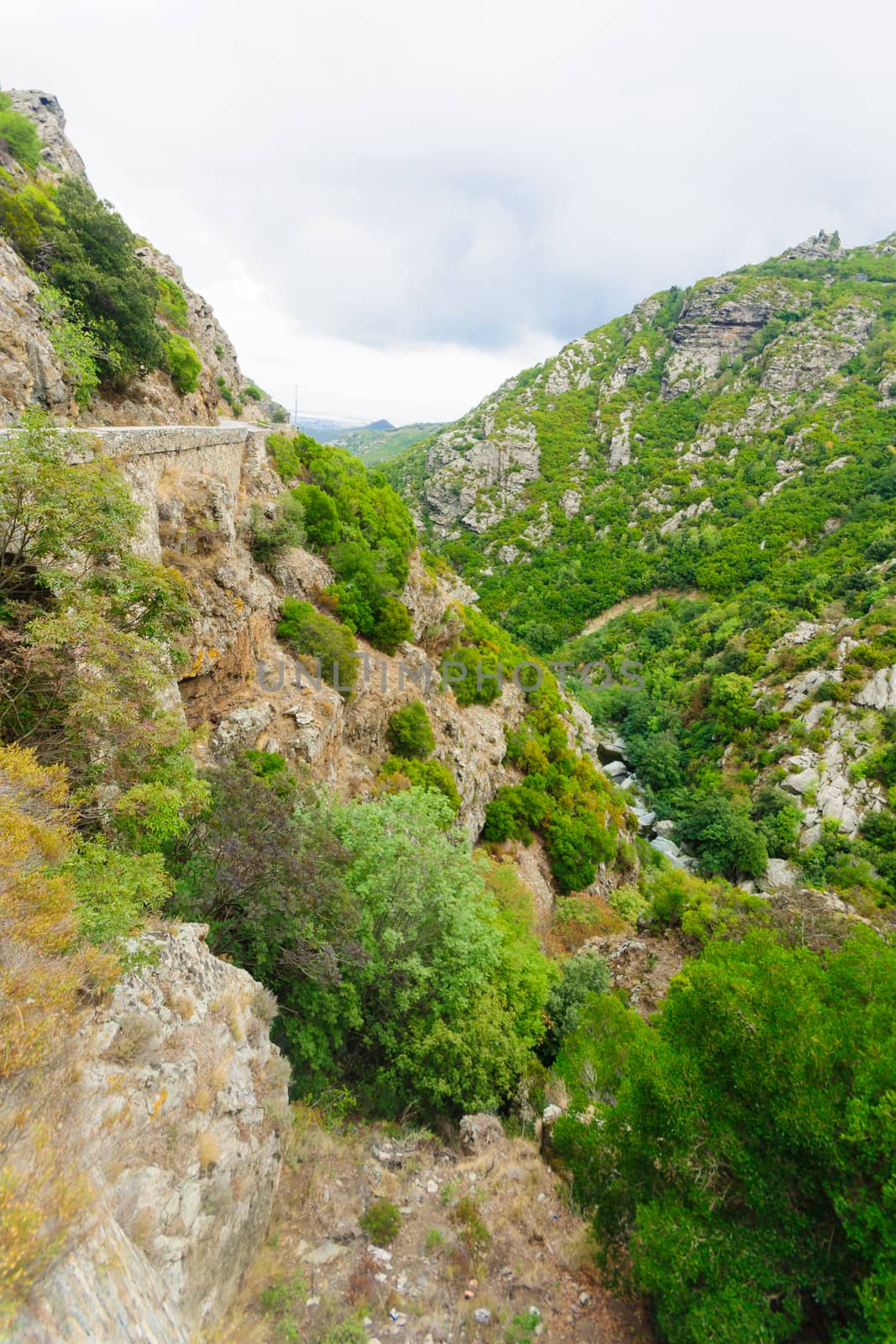 Corsican landscape, near the Riviere le Bevineo and road D62, in Haute-Corse, Corsica, France