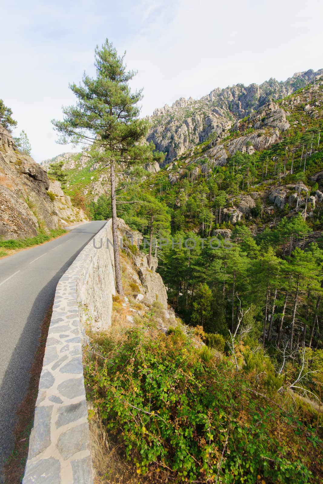 The Restonica Gorge (Gorges de la Restonica) in Corsica, France