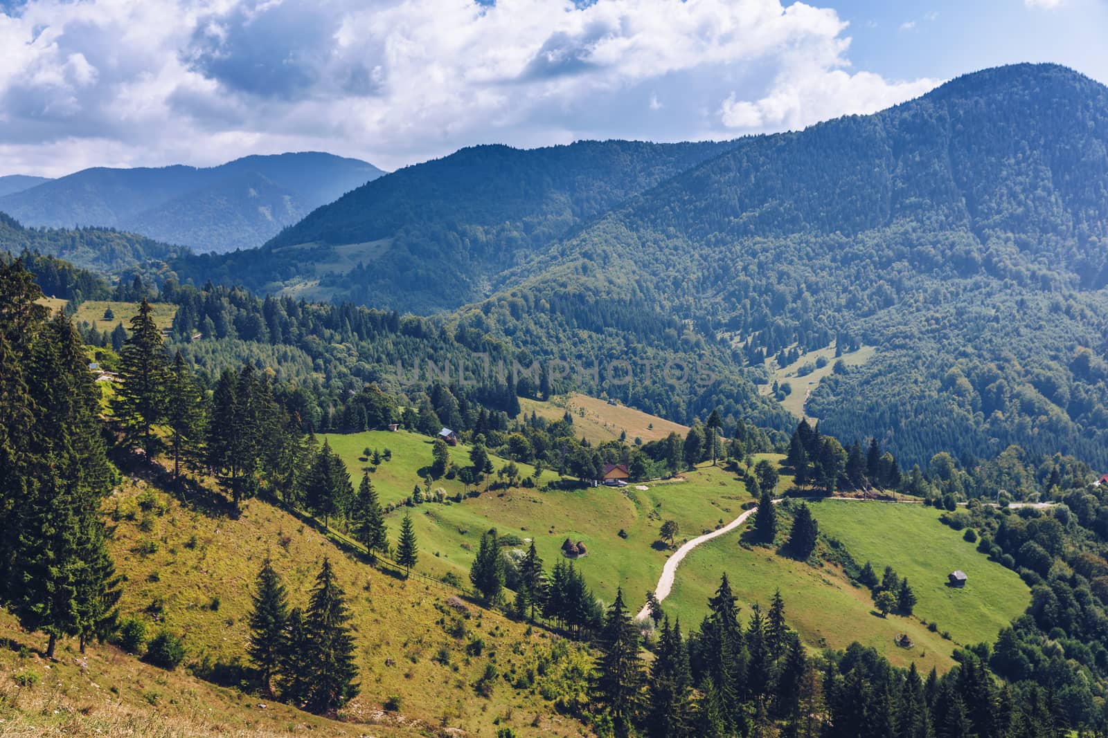 Carpathian mountains summer landscape with blue sky and clouds, natural background. Panoramic view