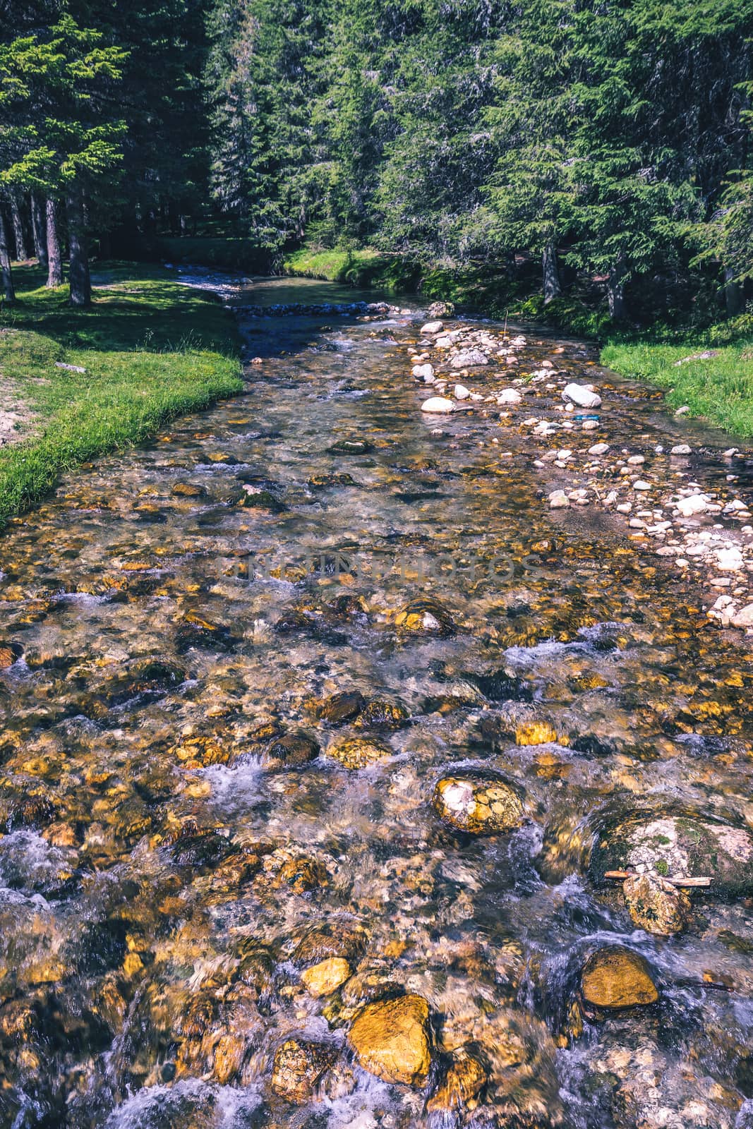 Beautiful view of mountain river in summer. Ialomita river, Romania, Europe. Carpathian mountains, Bucegi Natural Park. Beauty world.
