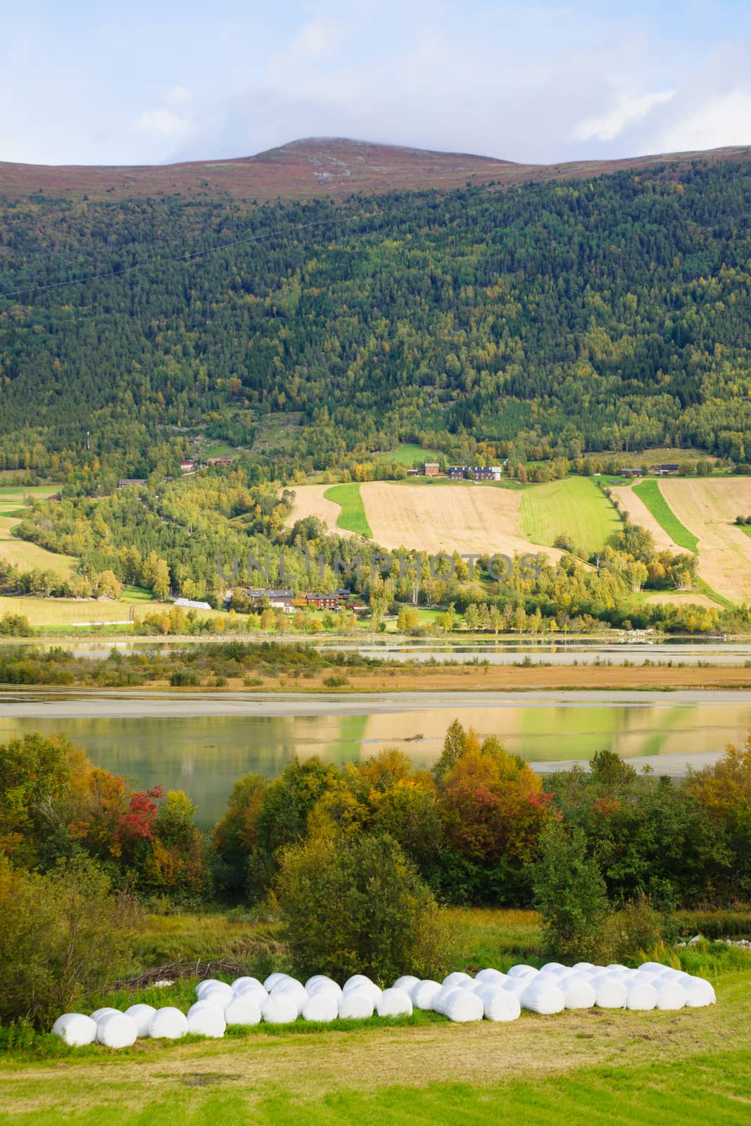 View from road 13, Norway