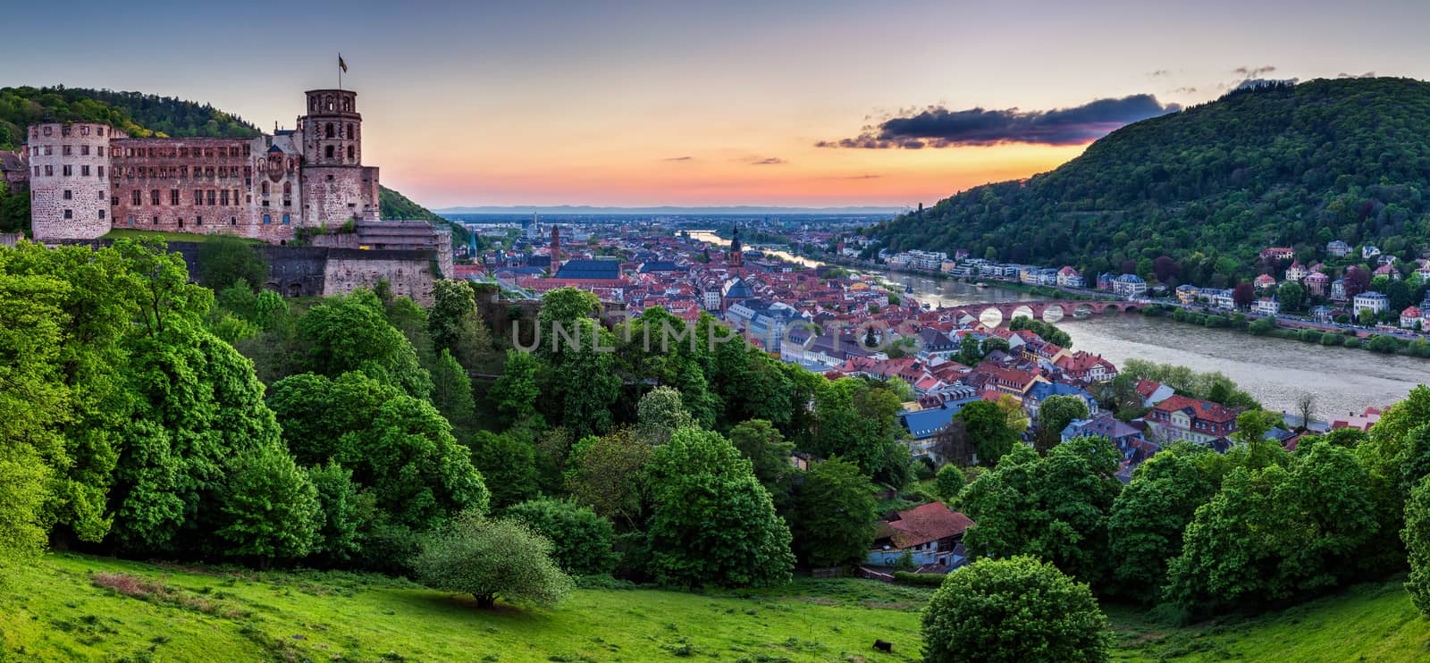 Panoramic view of beautiful medieval town Heidelberg including C by DaLiu