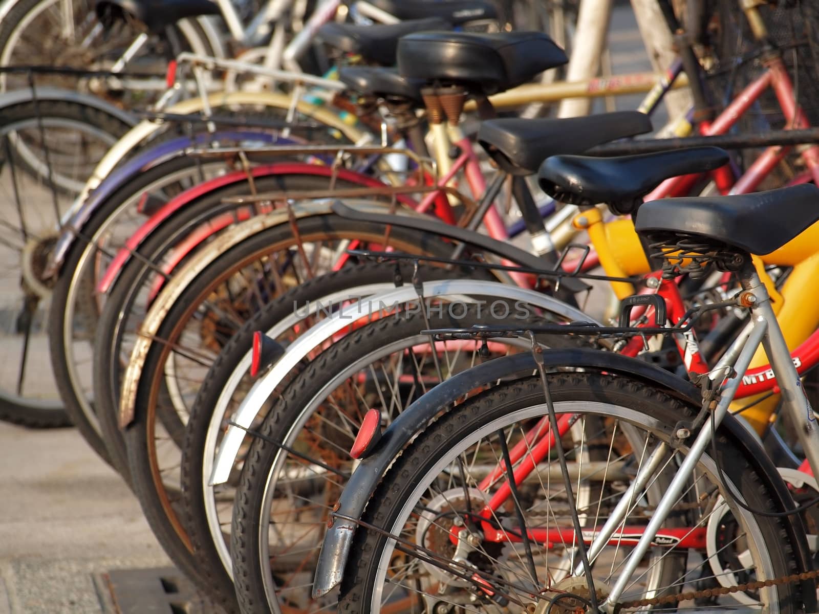 A row of old bicycles lined up on a street