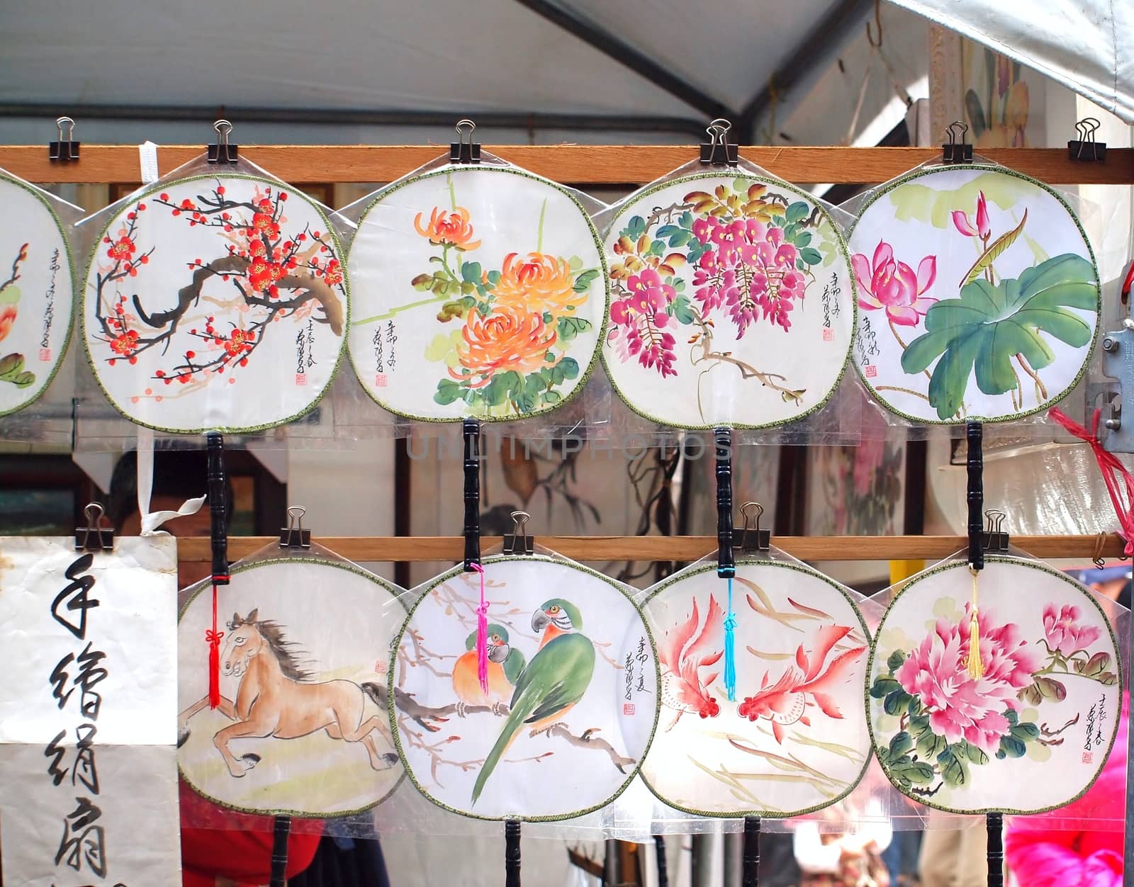 Hand Painted Chinese Fans by shiyali