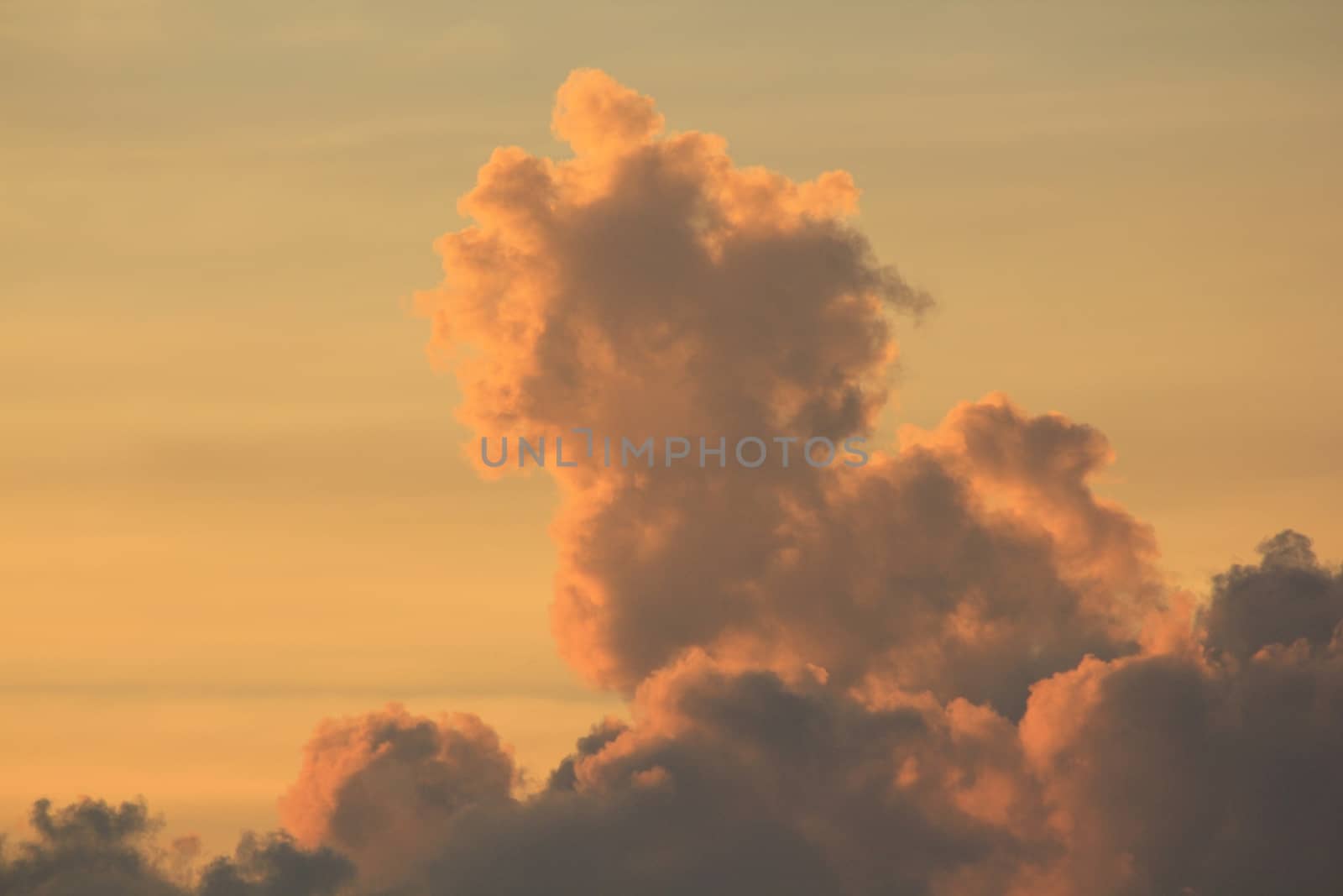 Clouds in the sky with the orange light of the sun