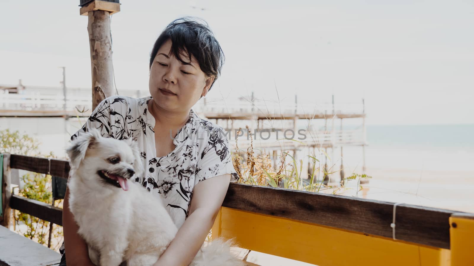 Asian women and the dog so cute mixed breed with Shih-Tzu, Pomeranian and Poodle on her lap at beach and the sea with sunlight when travel