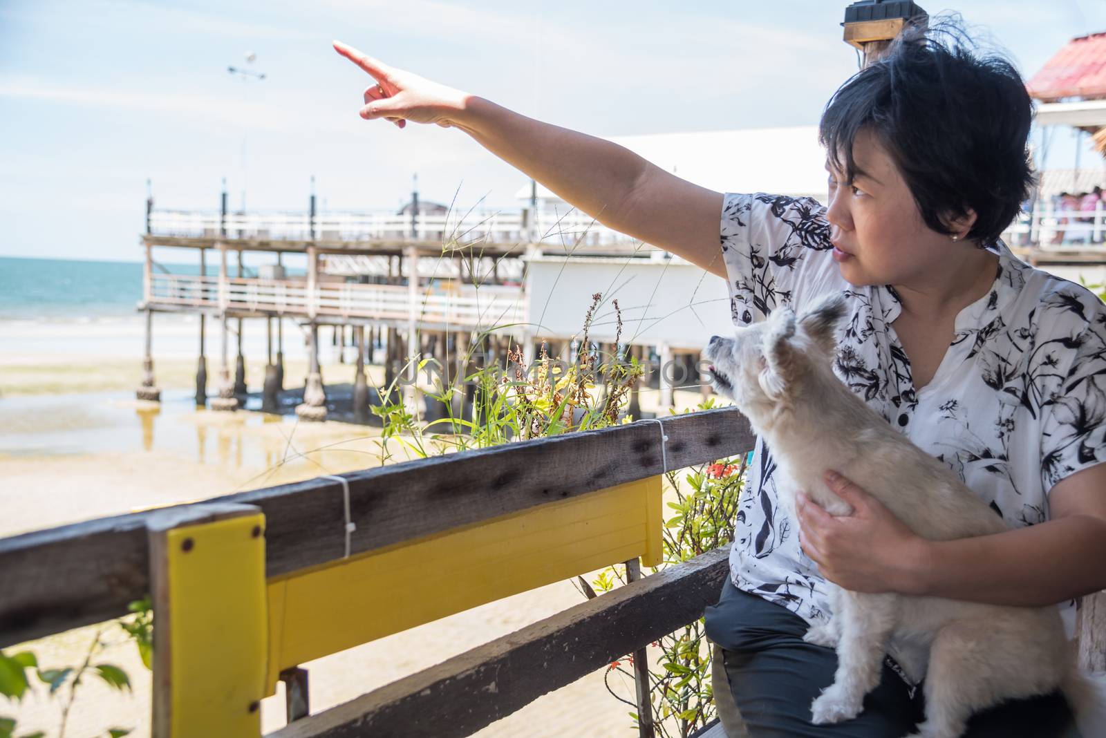 Asian women point finger to sky with sunlight and the dog so cute mixed breed with Shih-Tzu, Pomeranian and Poodle at beach and the sea when travel