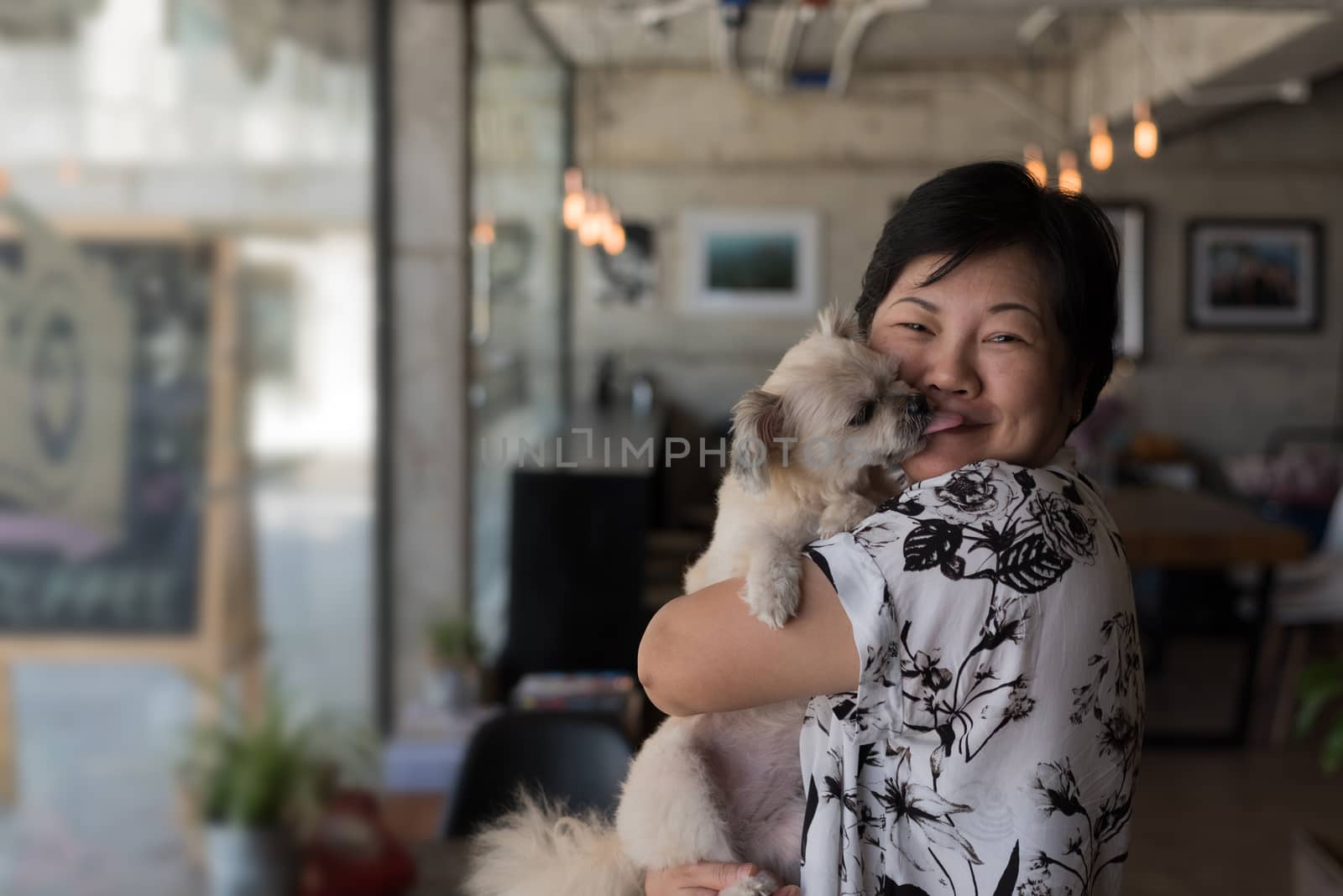 Asian woman and dog so cute mixed breed with Shih-Tzu, Pomeranian and Poodle in coffee shop cafe