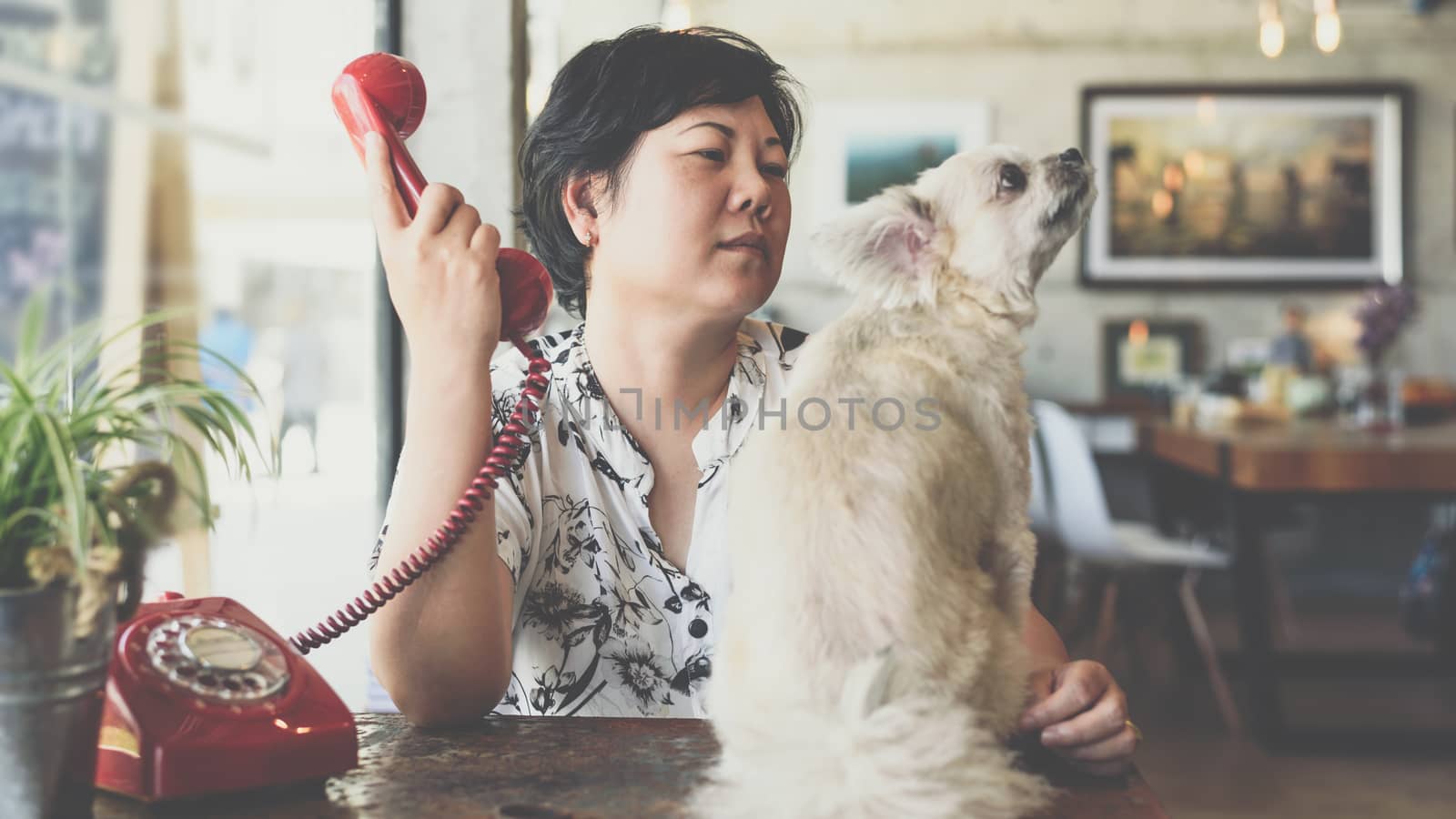 Asian women and dog in coffee shop cafe with phone by PongMoji