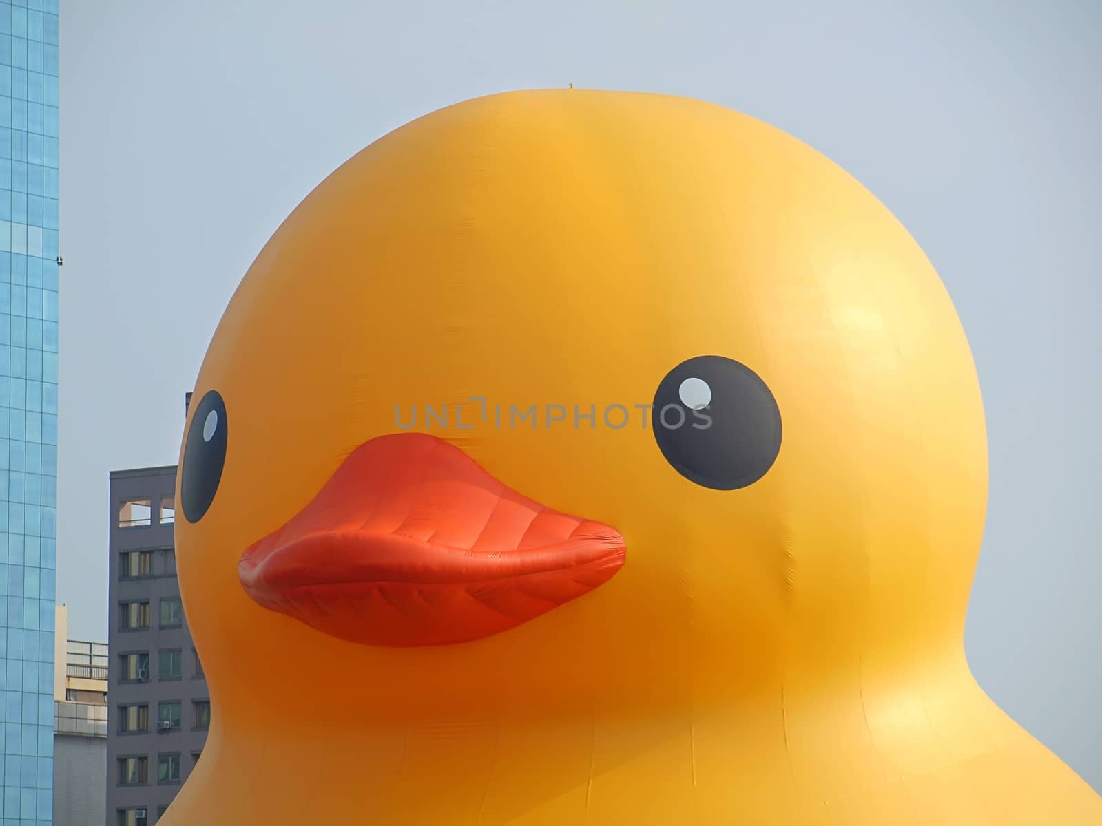 KAOHSIUNG, TAIWAN -- SEPTEMBER 28: The giant rubber duck designed by Dutch artist Hofman goes on display at the Glory Pier on September 28, 2013 in Kaohsiung