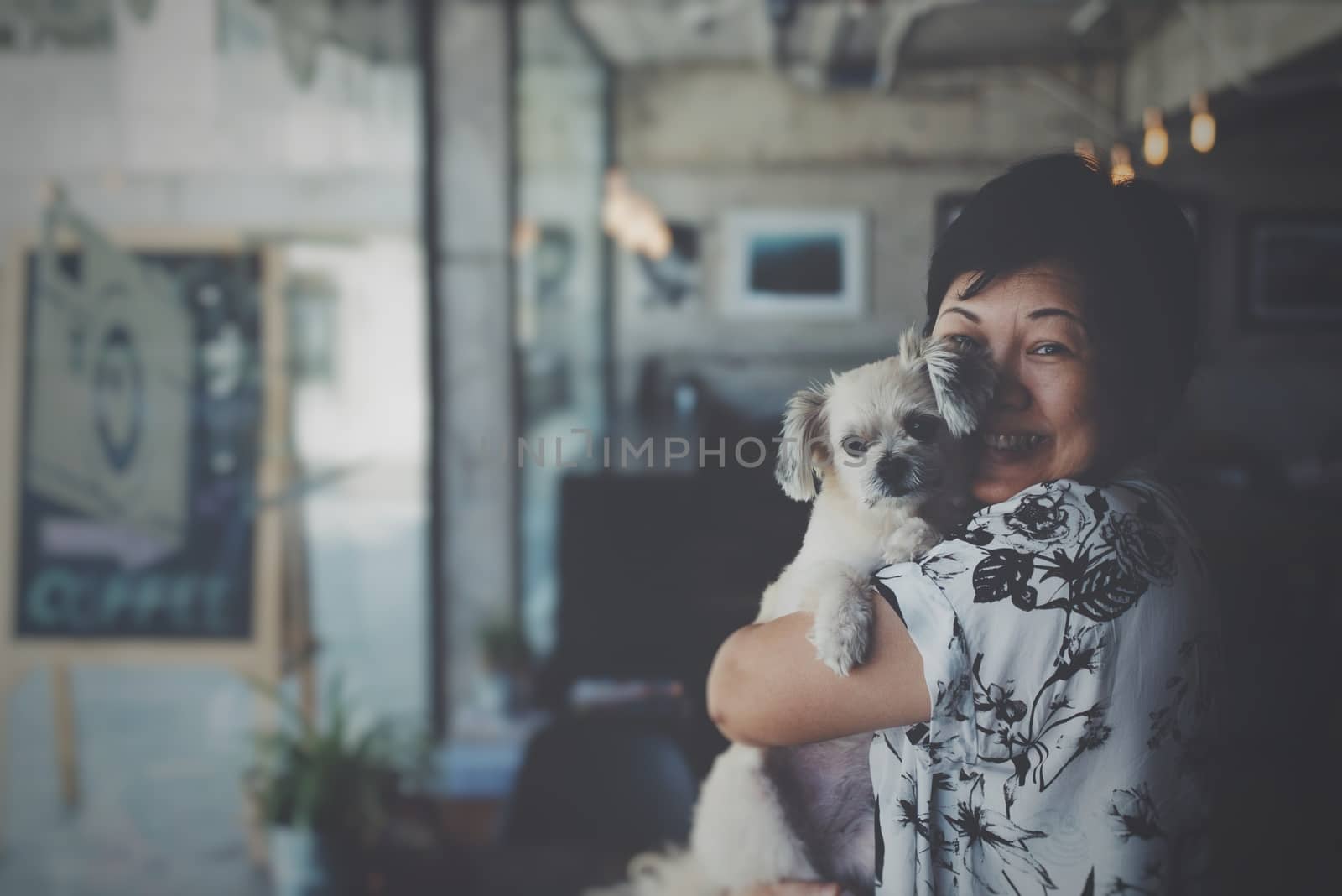Asia women and dog so cute mixed breed with Shih-Tzu; Pomeranian and Poodle in coffee shop cafe