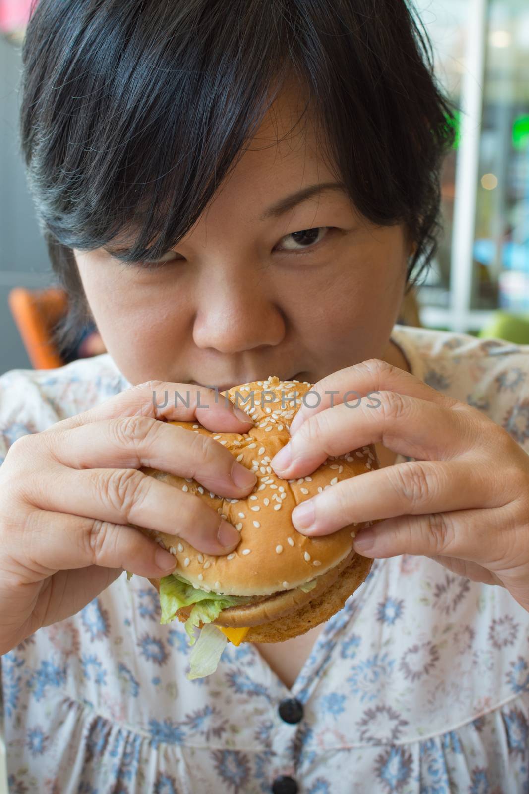 Asia woman plump body eating a hamburger is a unhealthy food at fastfood